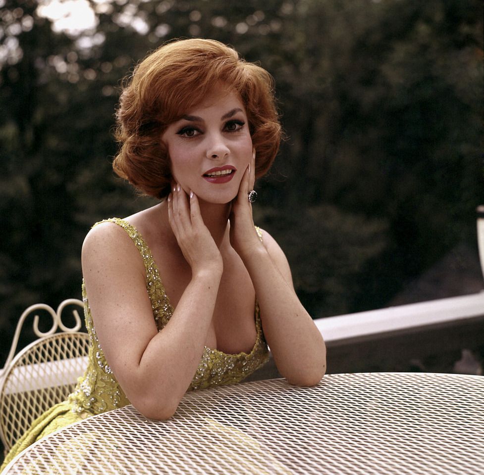 977x960 Gina Lollobrigida: Italy's Gift to Hollywood That Was Dubbed the World's Most Beautiful Woman Historical Photo