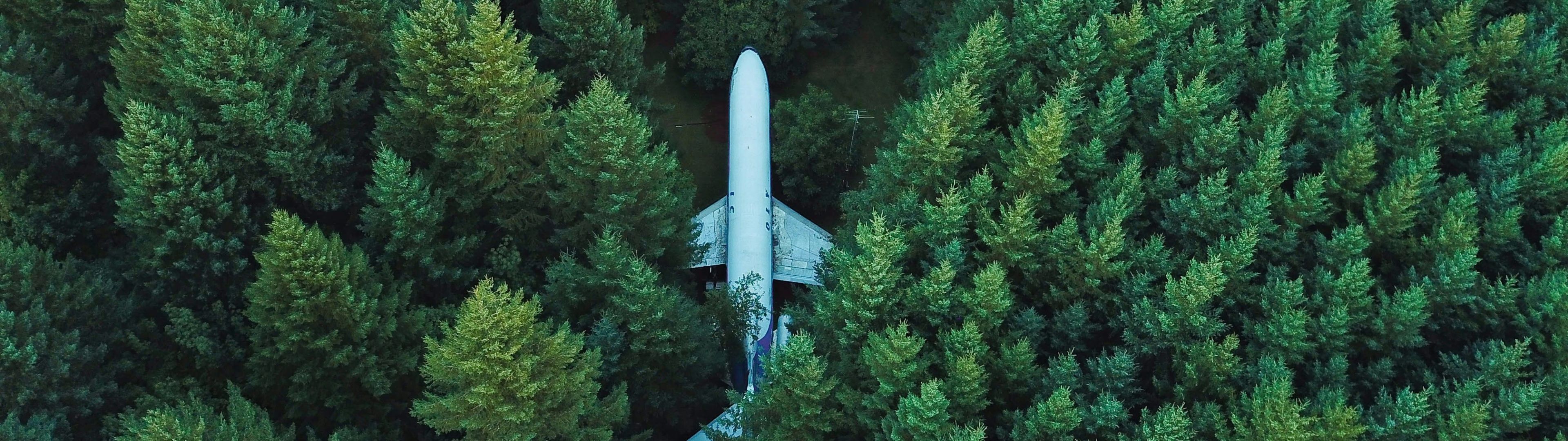 3840x1080 Airplane Wallpaper 4K, Green Trees, Aerial view, Forest