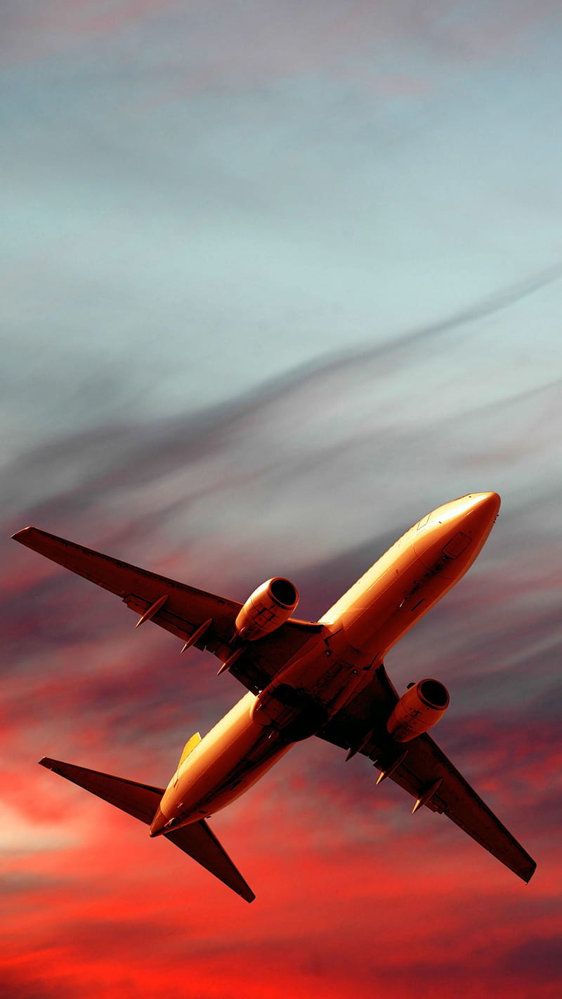 800x1422 Passenger plane in the Sky, passenger plane, aircraft, HD phone wallpaper