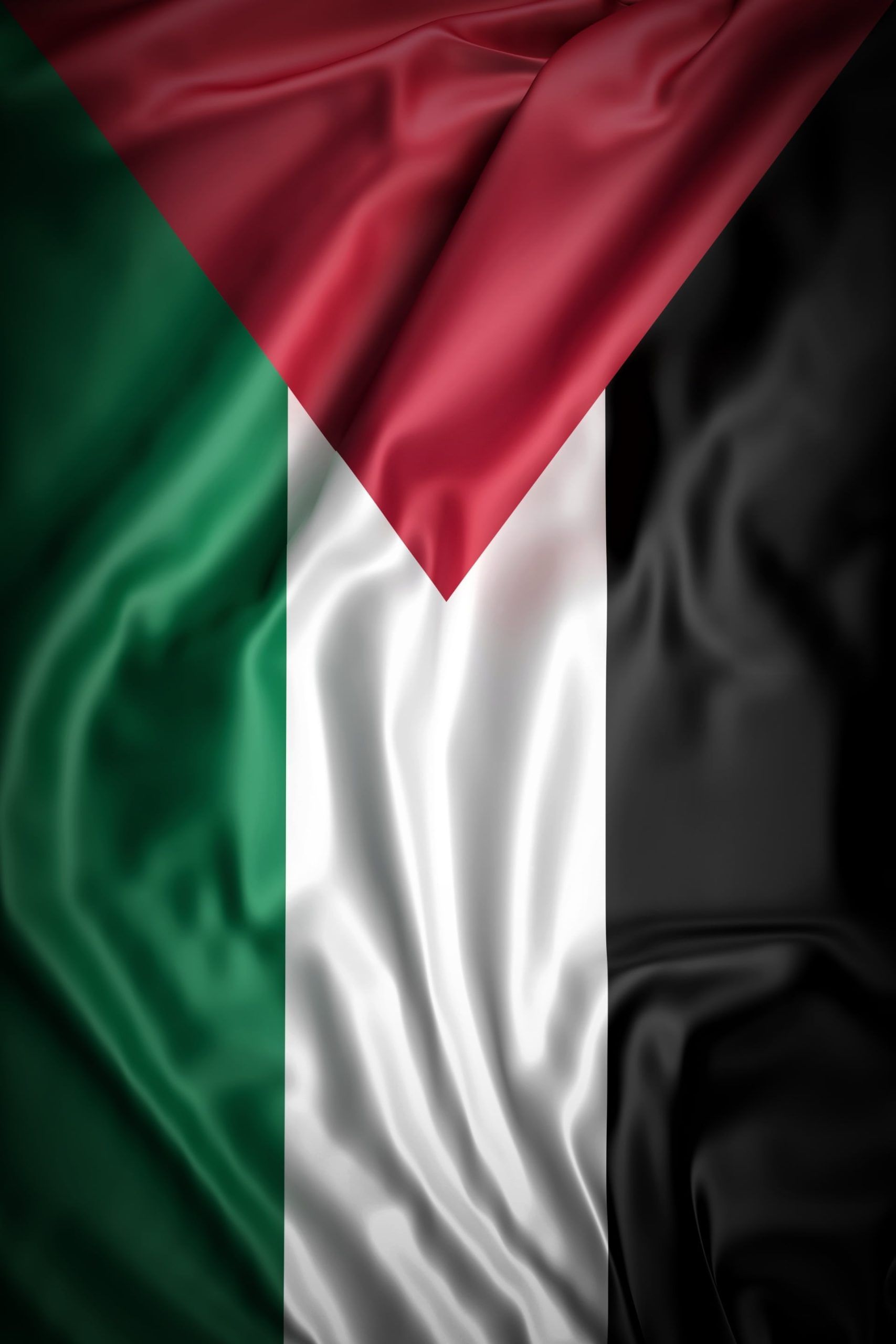 1707x2560 Palestine