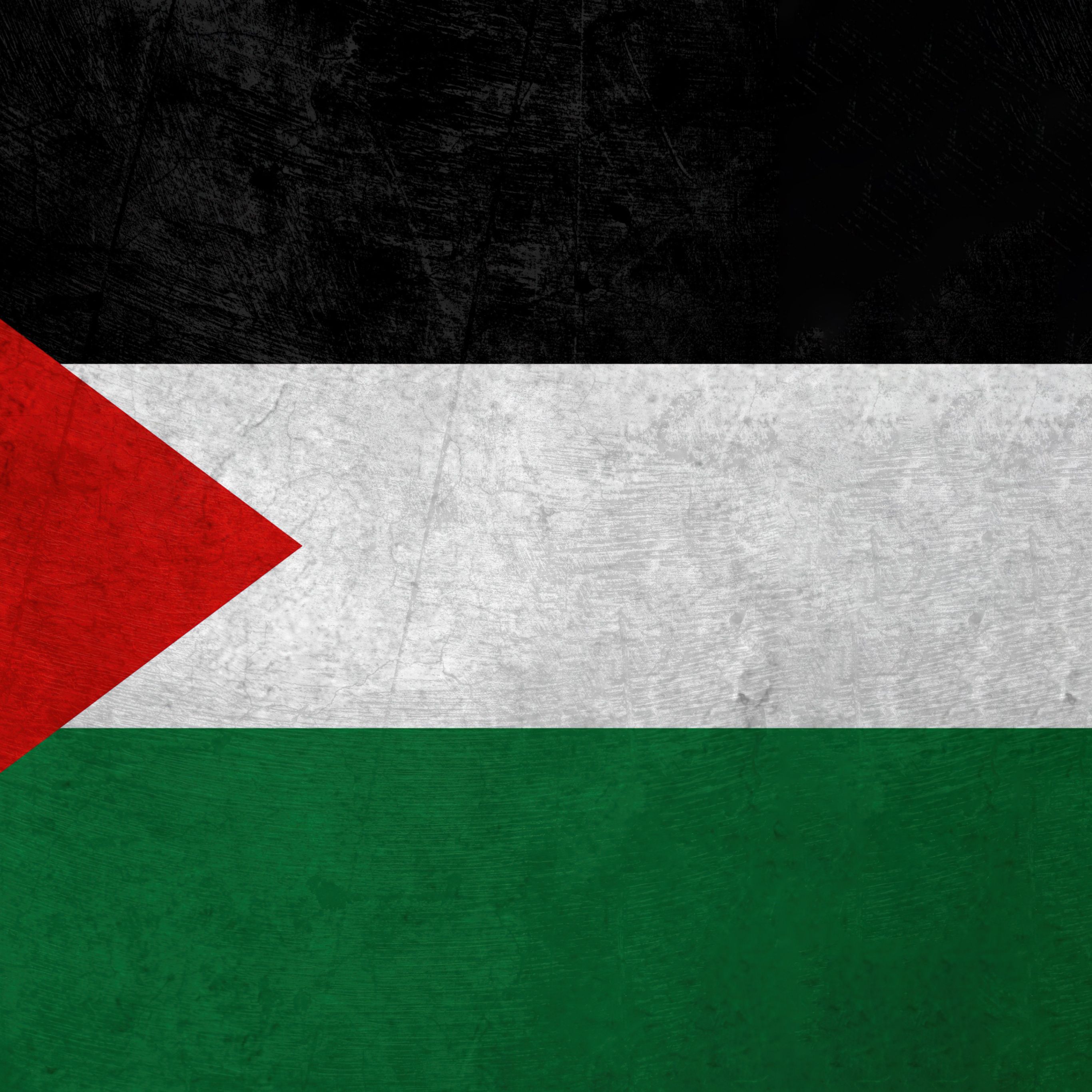 2732x2732 The Palestinian Flag 5K Wallpaper