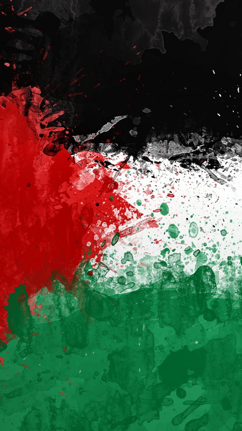 800x1423 HD flag of palestine wallpaper