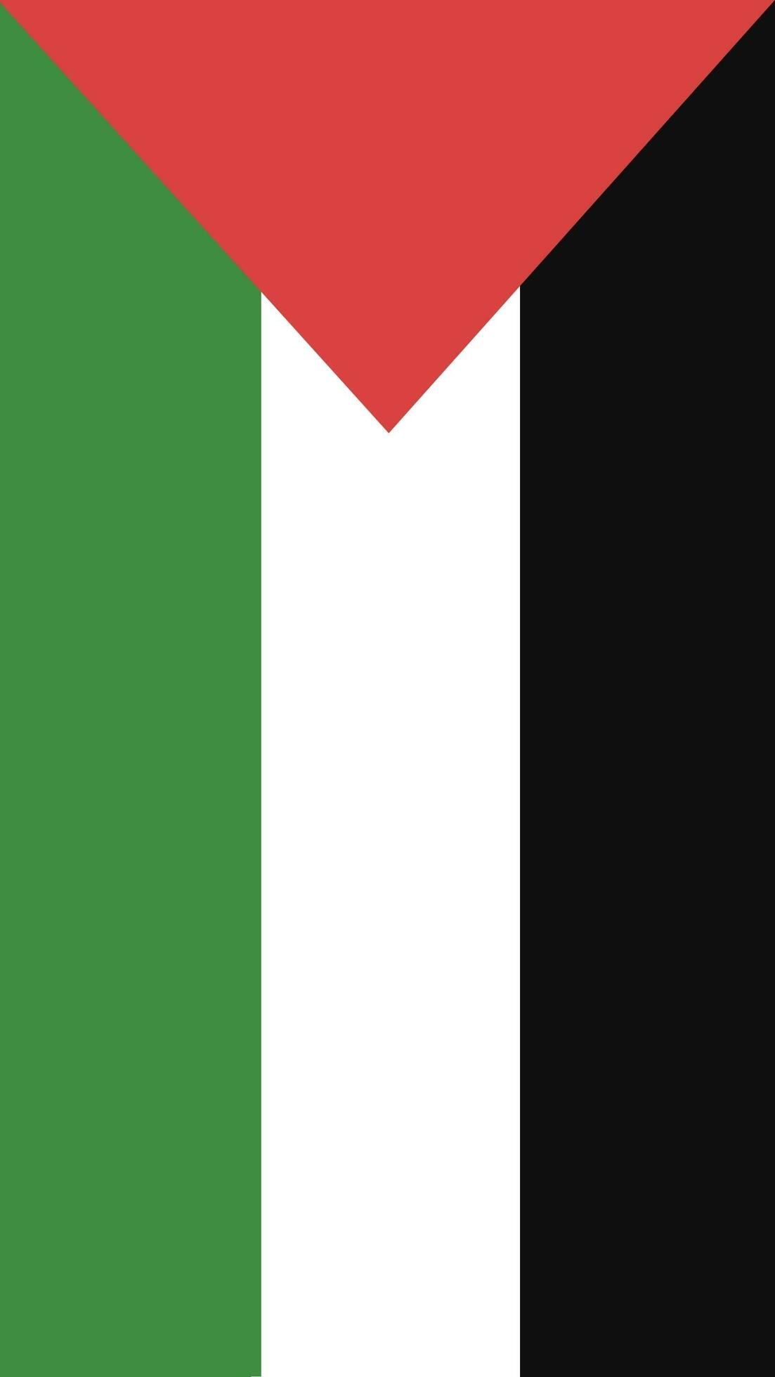1103x1960 Palestine flag wallpaper