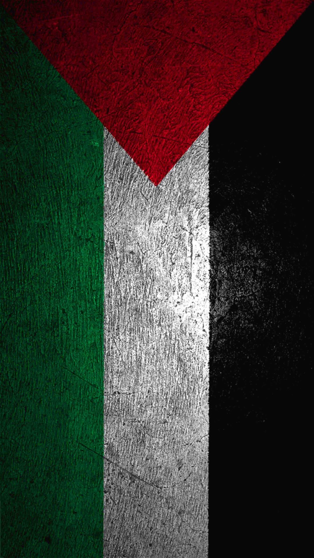 1080x1920 Palestinian Flag Wallpaper