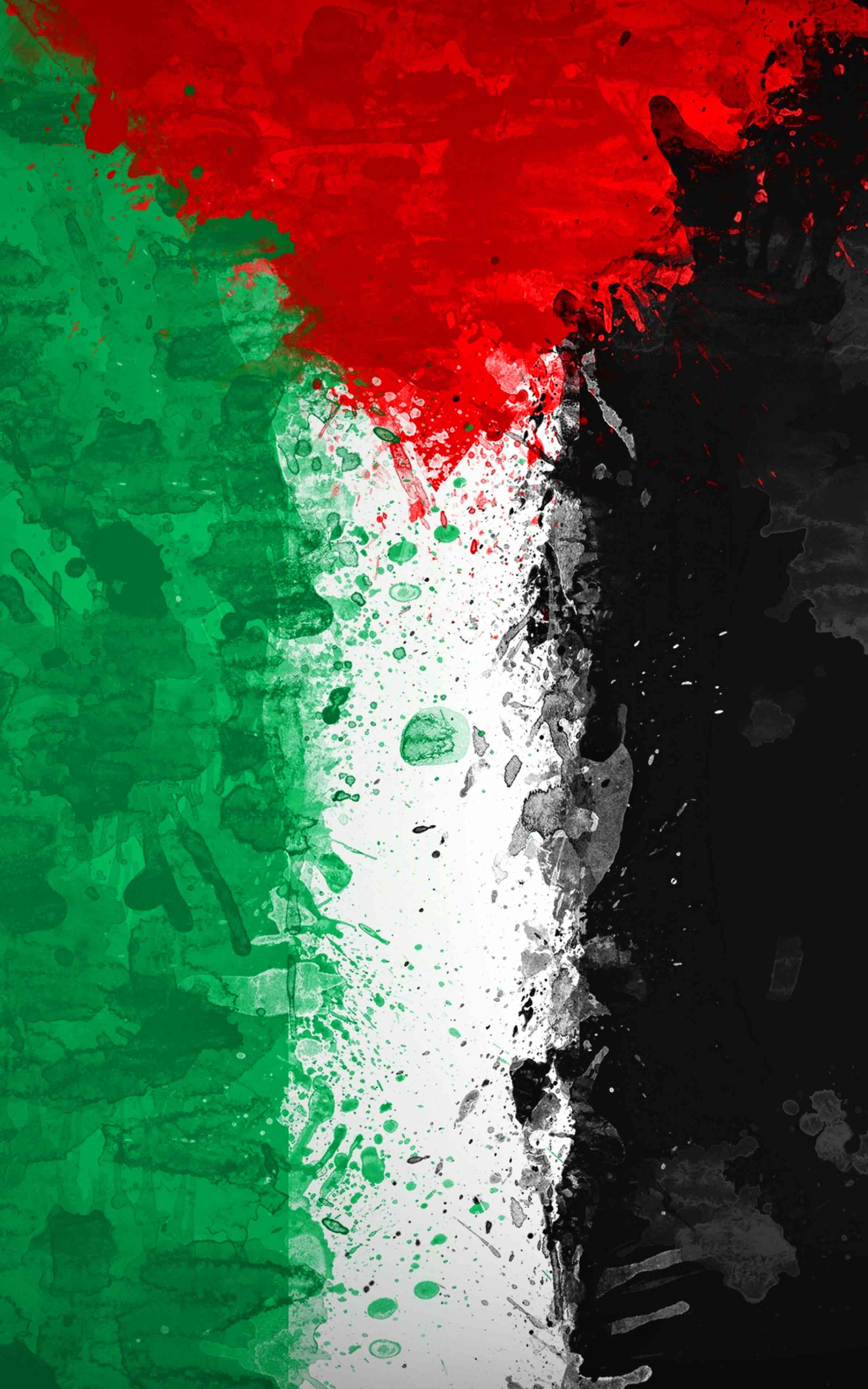 2400x3840 Palestine Flag Mobile Wallpaper