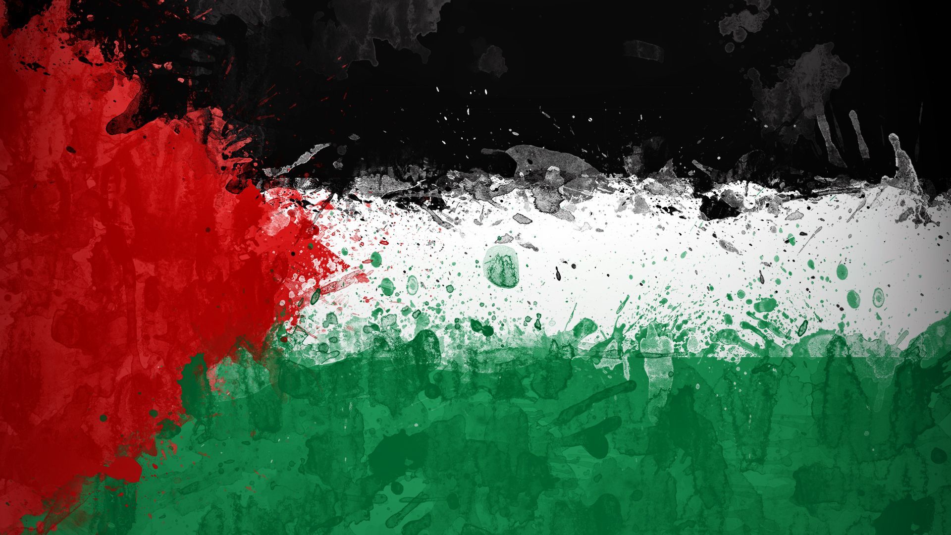 1920x1080 Palestinian Flag Wallpaper