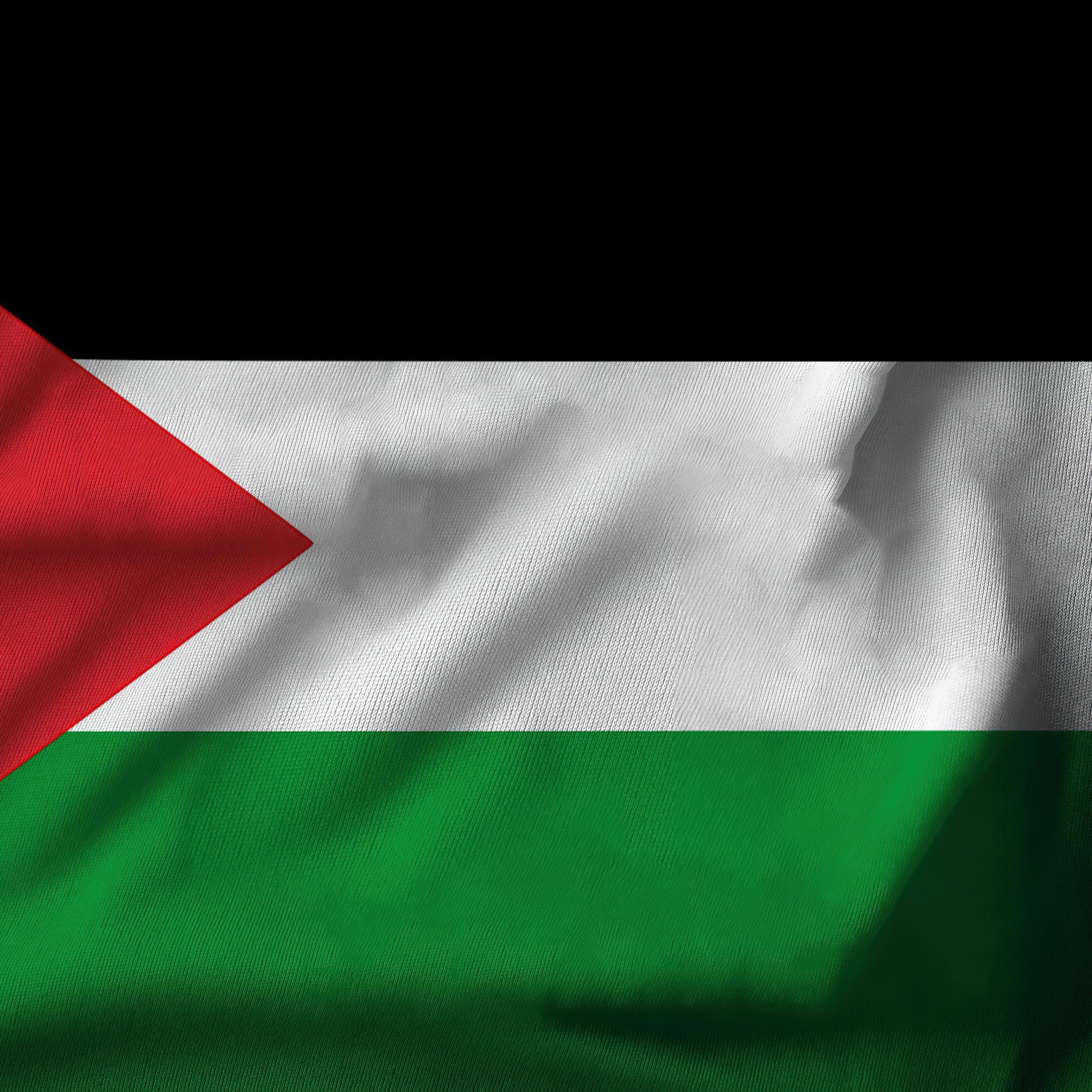 2732x2732 Flag of Palestine Wallpaper 4K, 5K