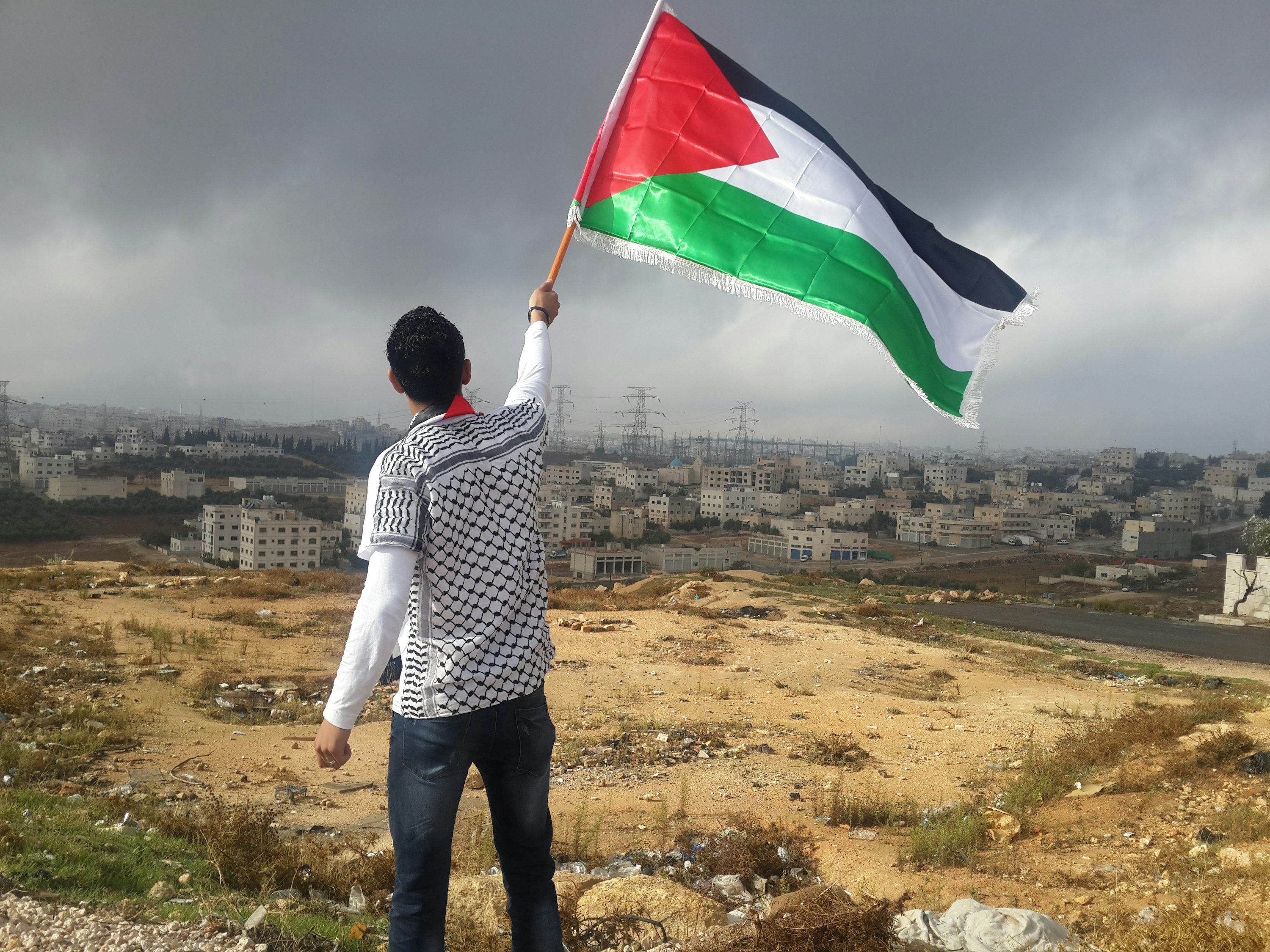 3000x2250 Palestine Flag Picture. Download Free Image