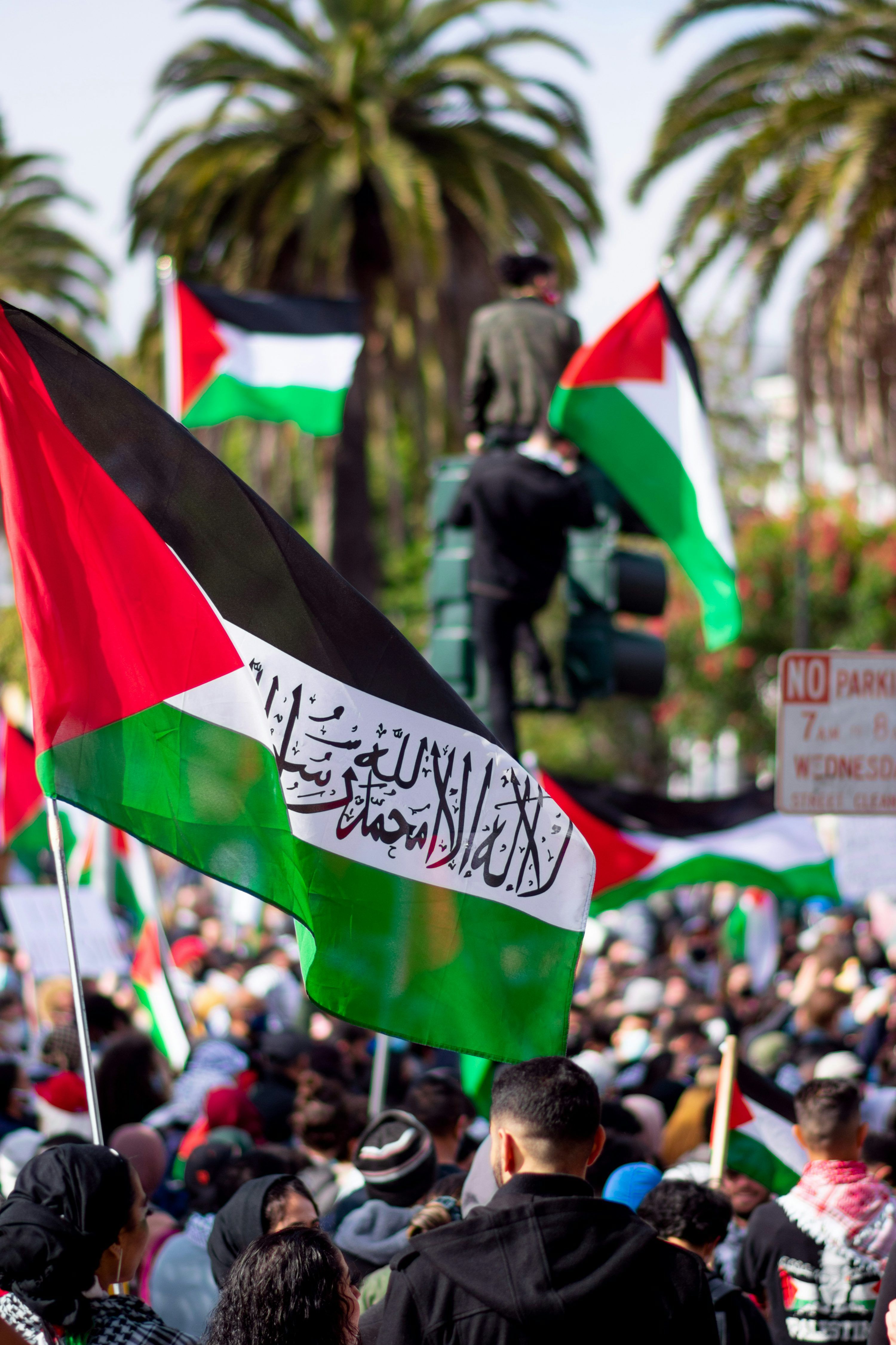 3000x4500 Palestine Flag Picture. Download Free Image