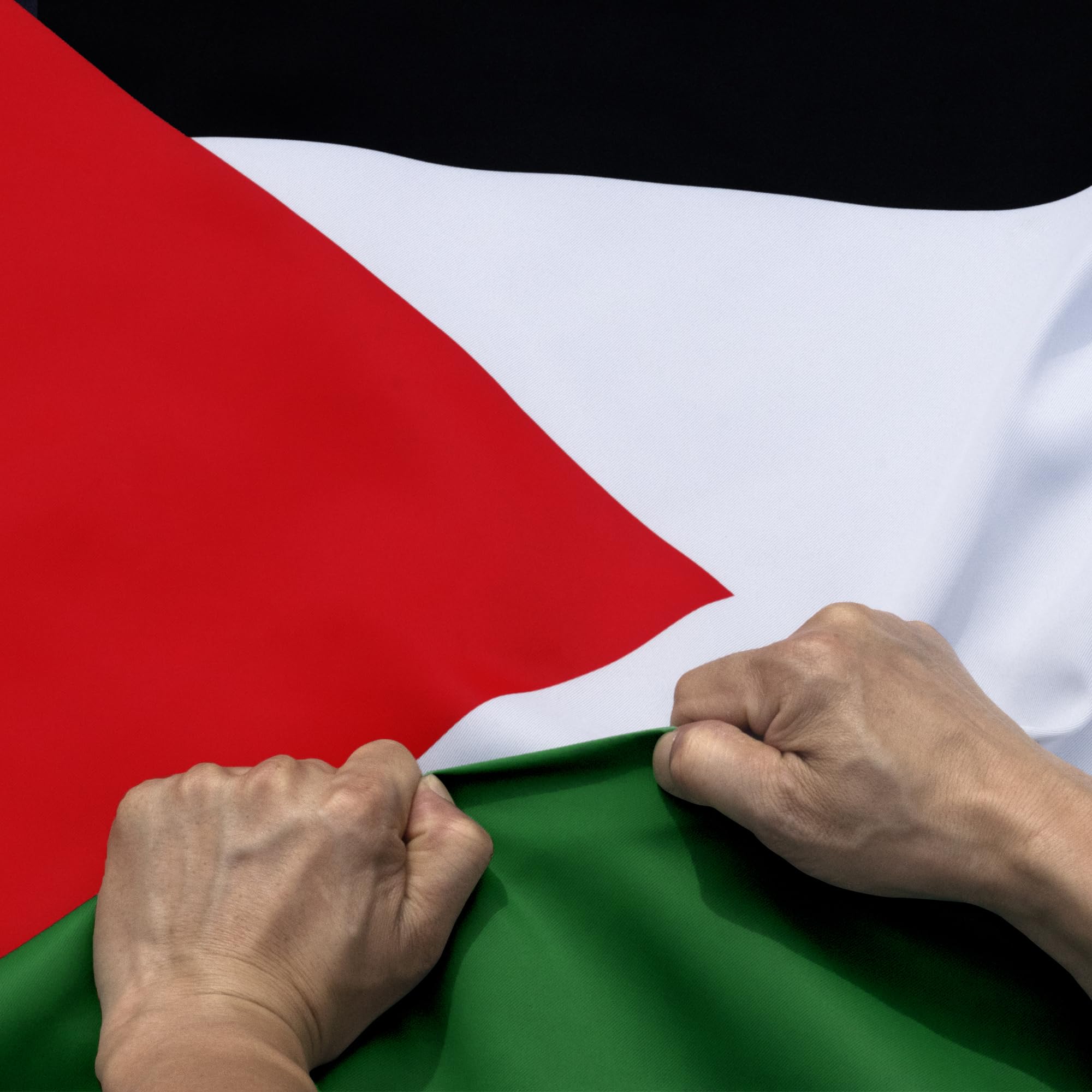 2000x2000 Amazon.com : Anley Rip Proof Double Sided 3 Ply Palestine Flag 3x5 Foot Color, Canvas Header And Wrinkle Resistant Strongest, Longest Lasting Palestinian National Flags 3 X 5 Ft
