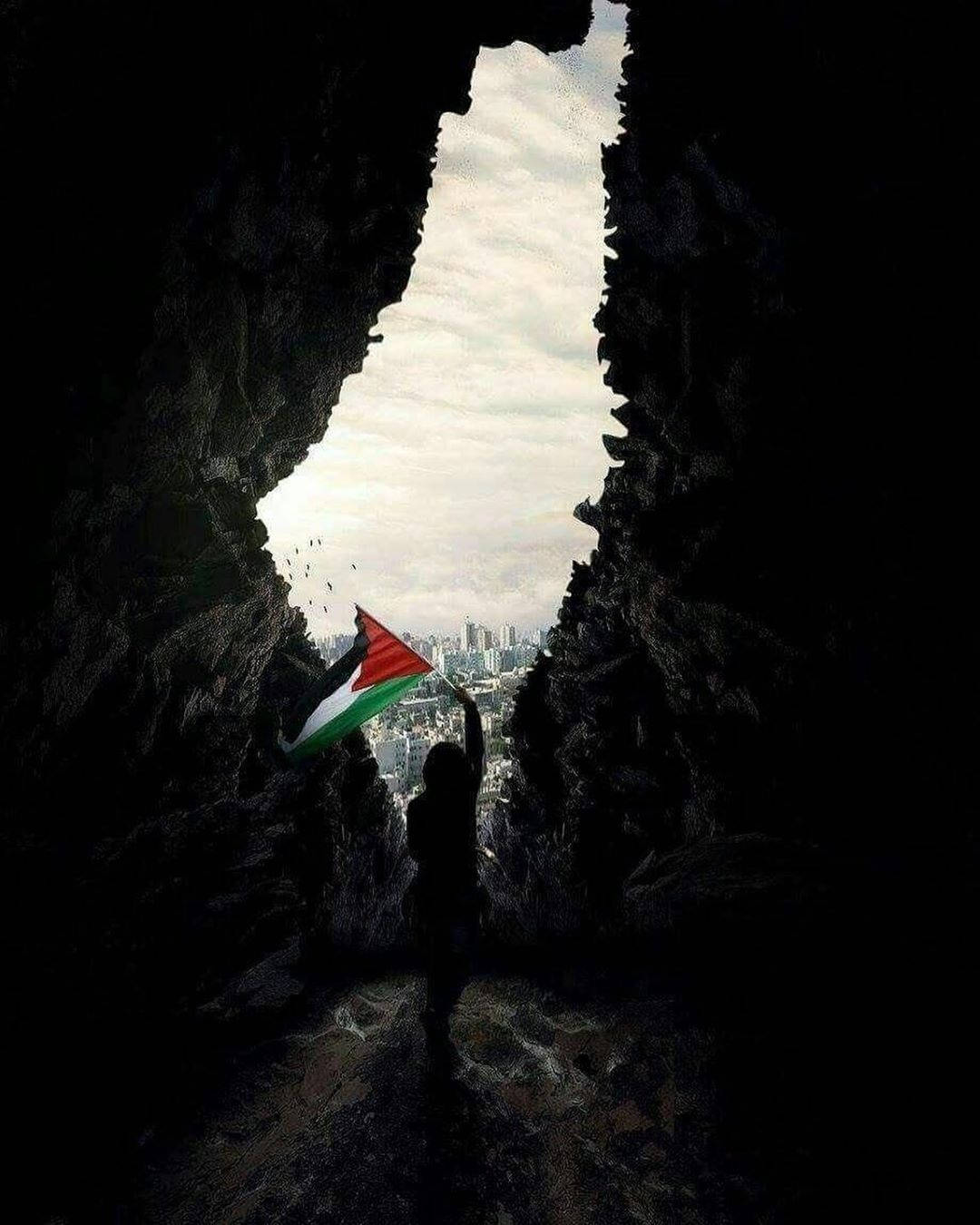1080x1350 Free Palestine iPhone Wallpaper