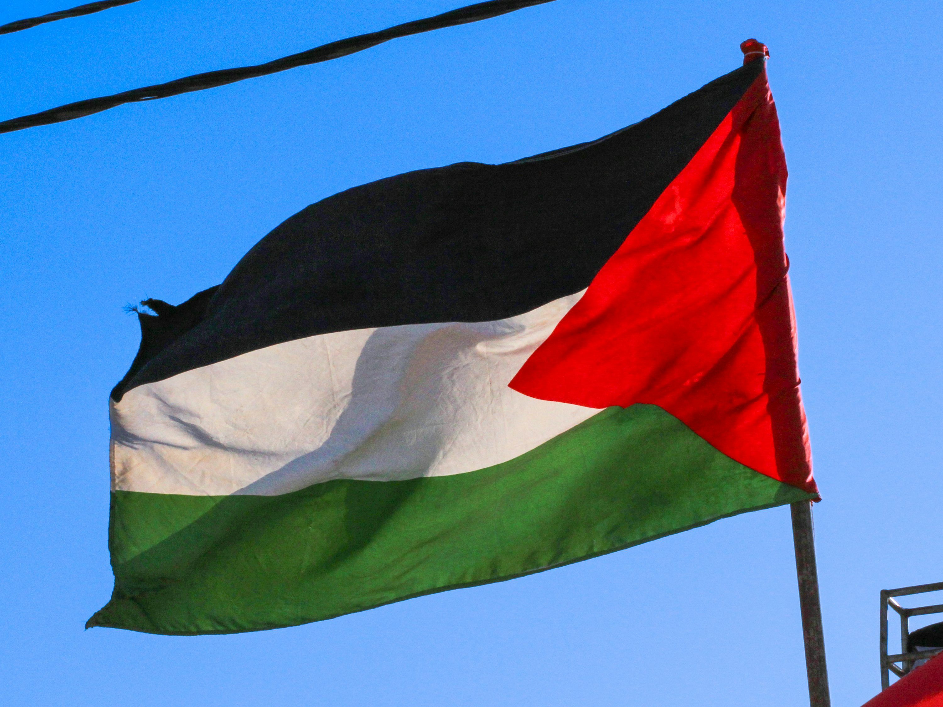 3000x2251 Palestine Flag Picture. Download Free Image