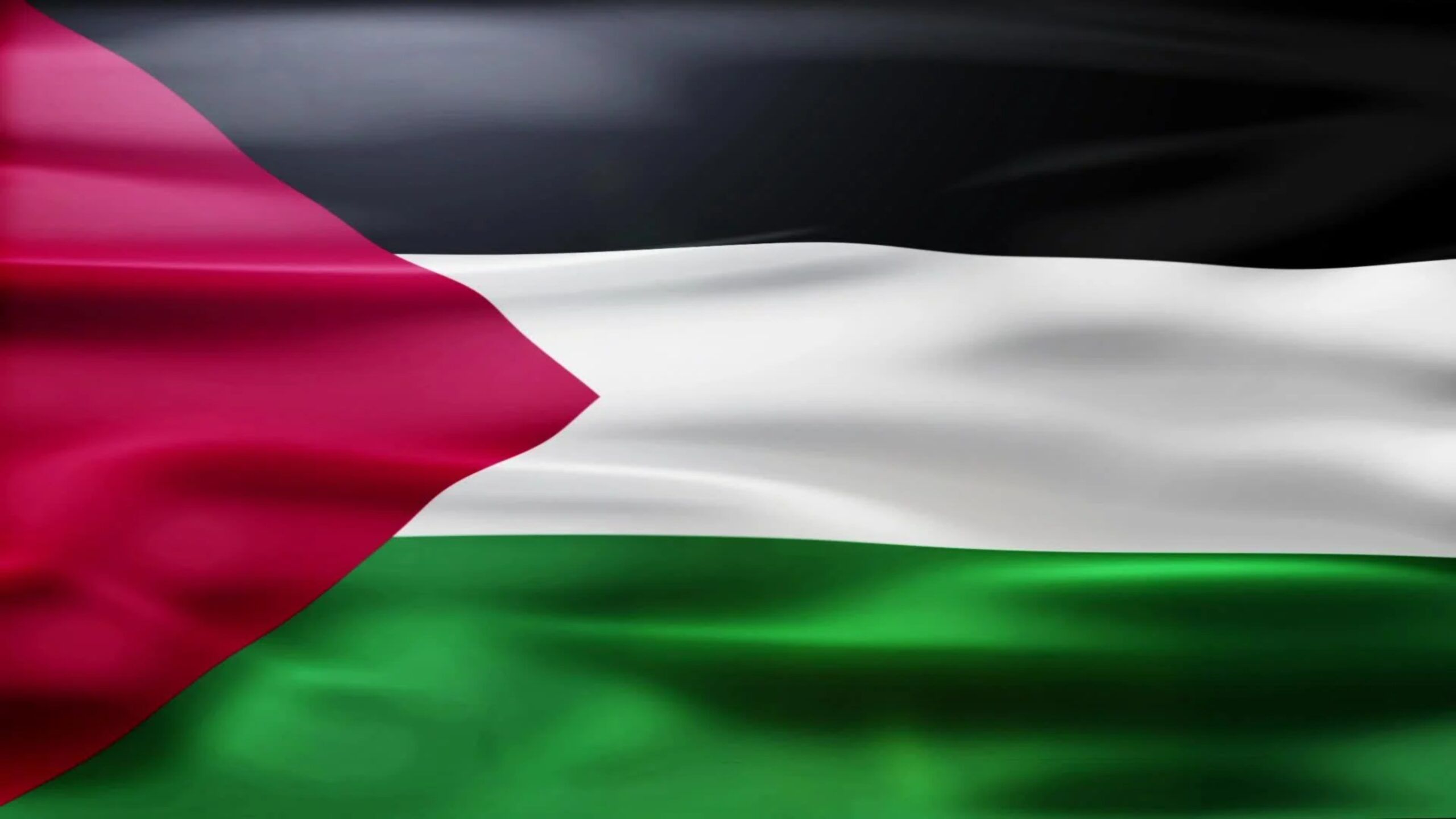 2560x1440 Palestine Flag 4k Wallpaper