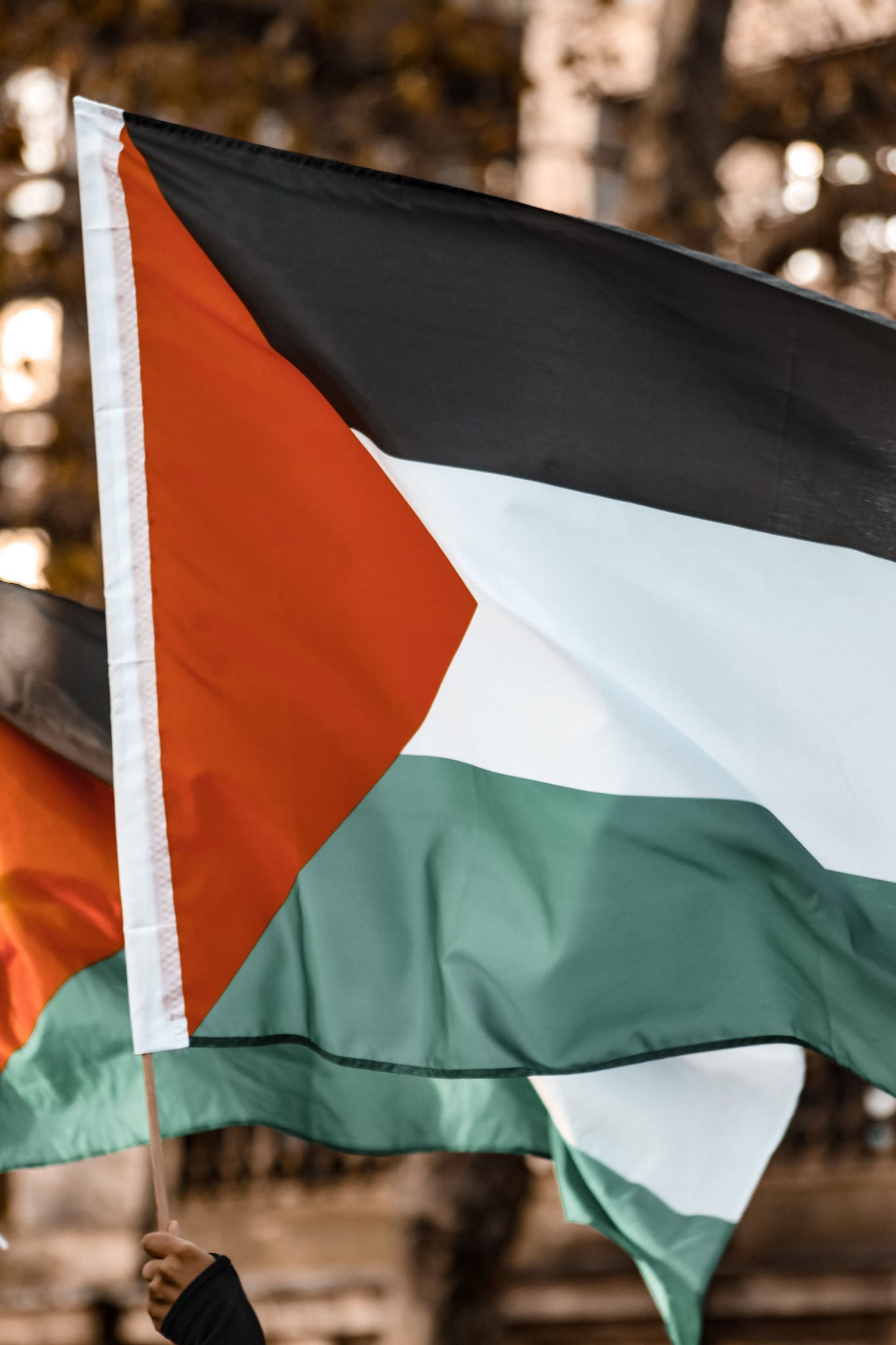 3464x5197 Palestinian Flag at Outdoor Event · Free