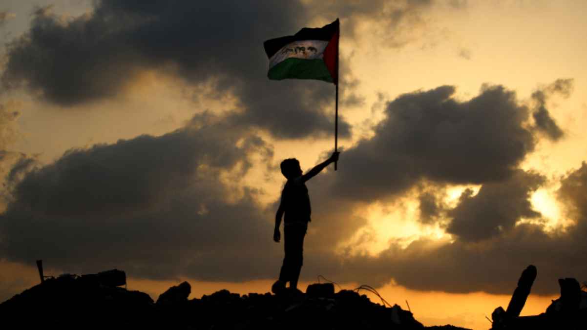 1202x676 A Gazan child carries the Palestinian flag over the rubble