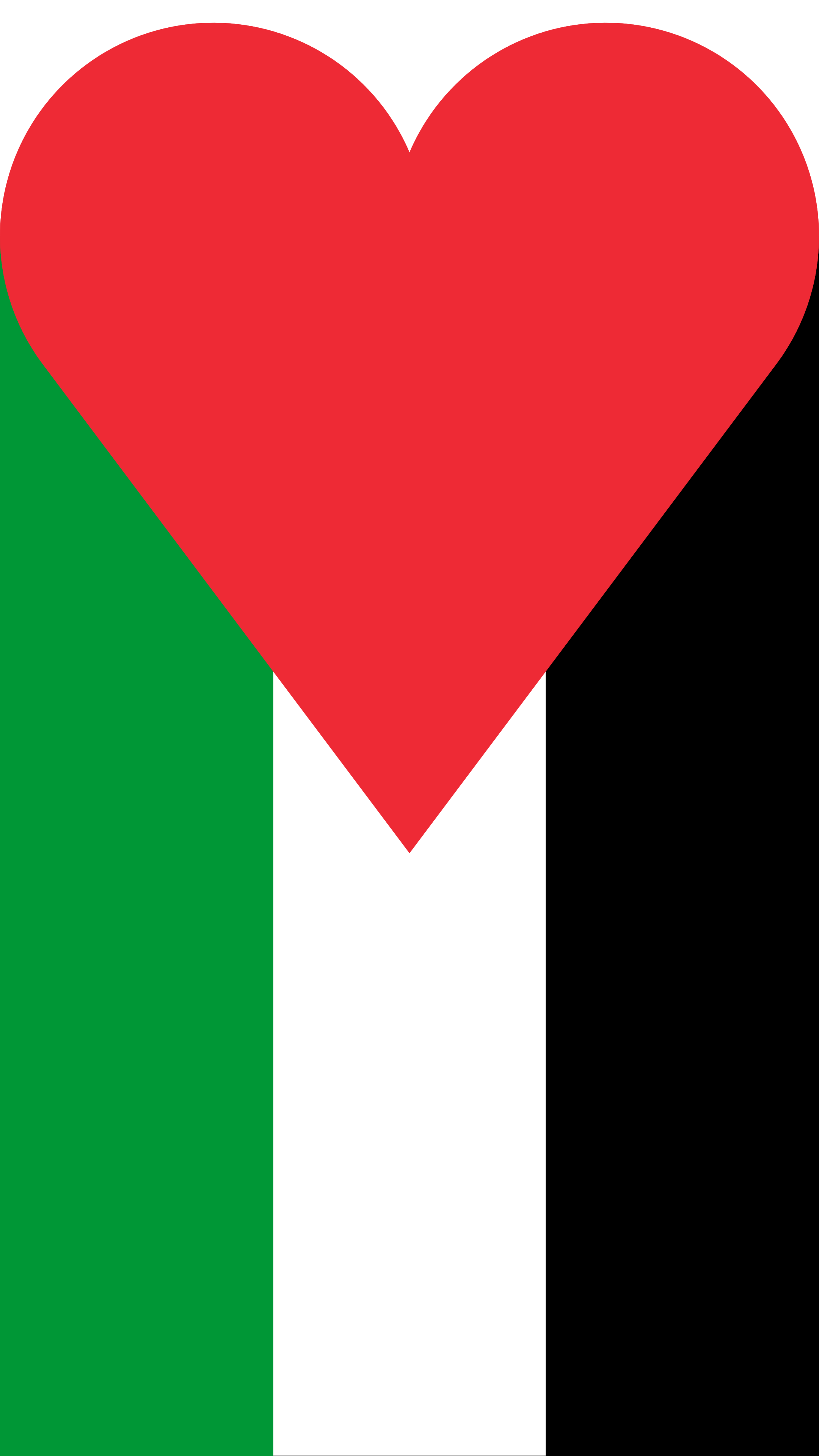 2160x3840 Love Palestine Flag · Transparent PNG · 9x16 aspect ratio.png