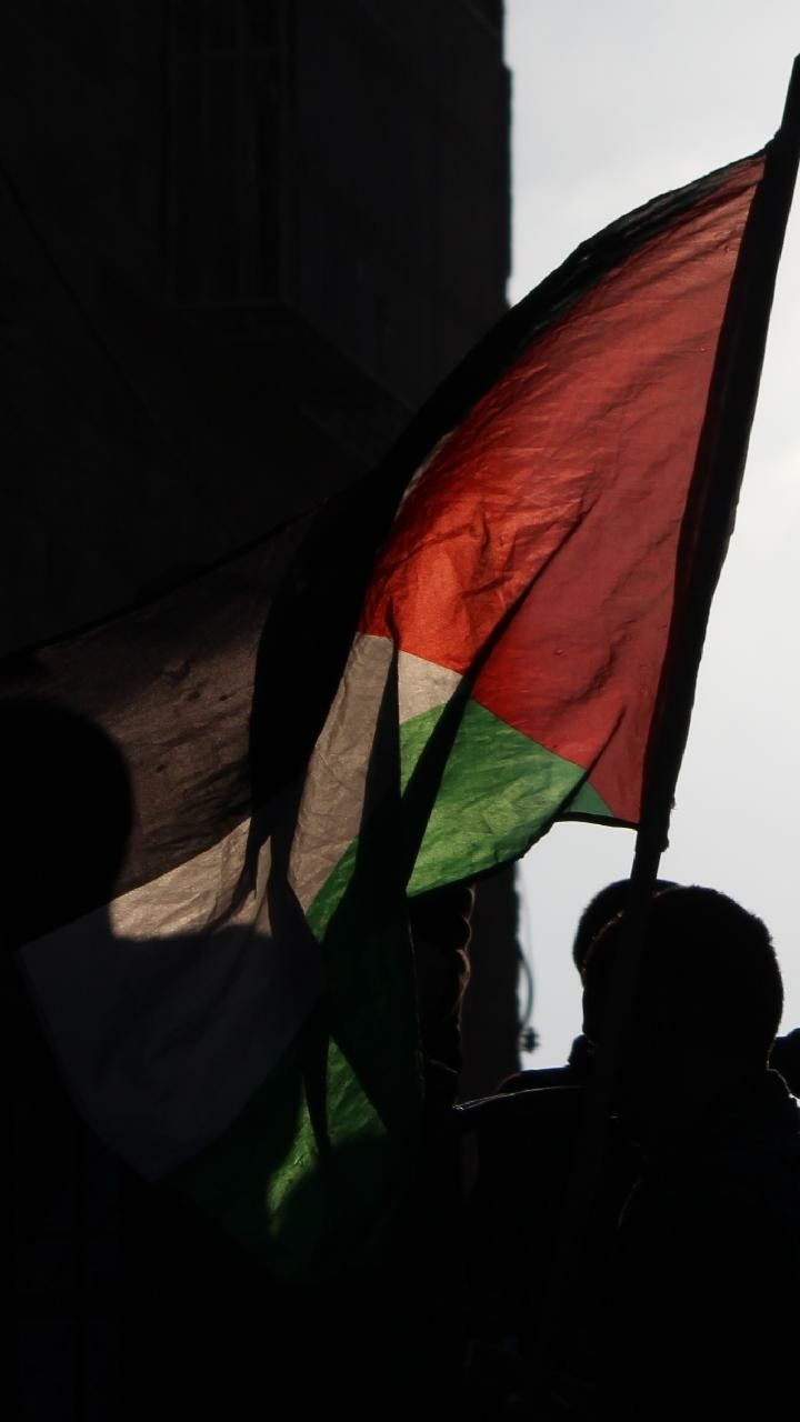 720x1280 Palestine flag