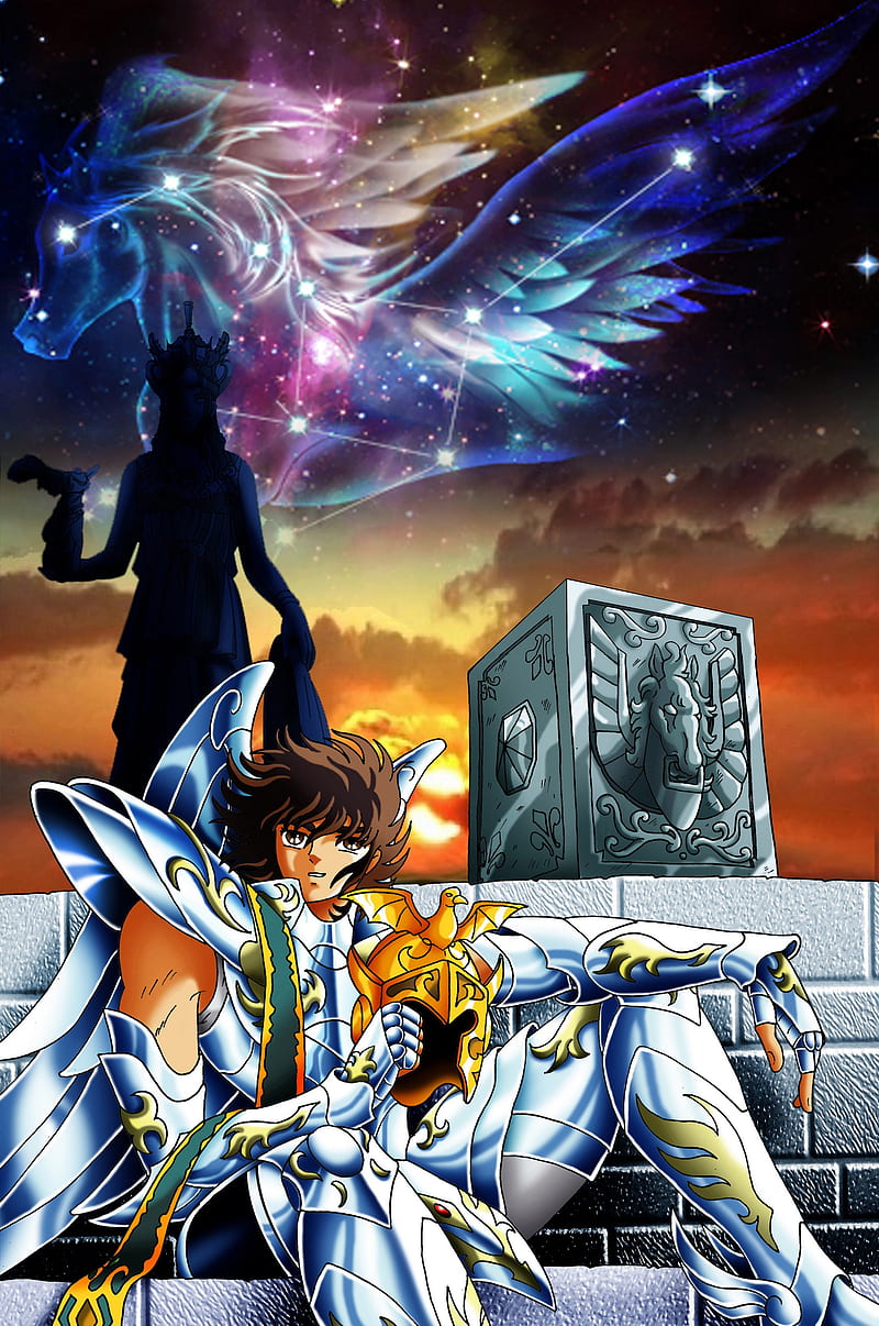 800x1206 Seiya Divine Cloth, saint, bronze, bandai, pegasus, pegaso, athena, cosmo, HD phone wallpaper