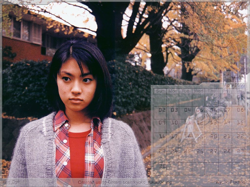 1024x768 Kyoko Fukada