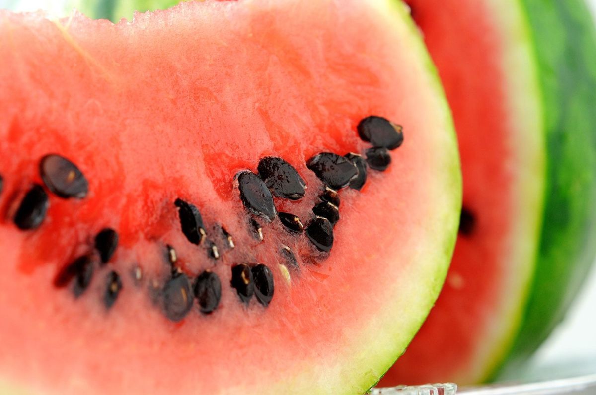 1200x796 Watermelon Seed Information To Harvest Watermelon Seeds. Gardening Know How