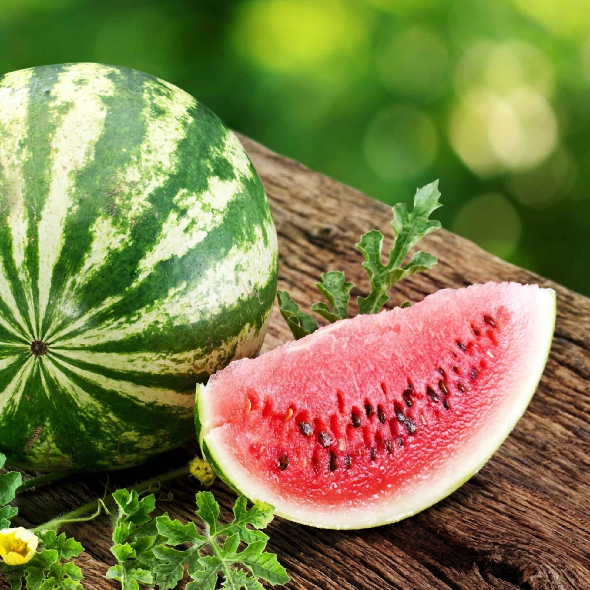 1946x1946 Bulk Watermelon Seeds
