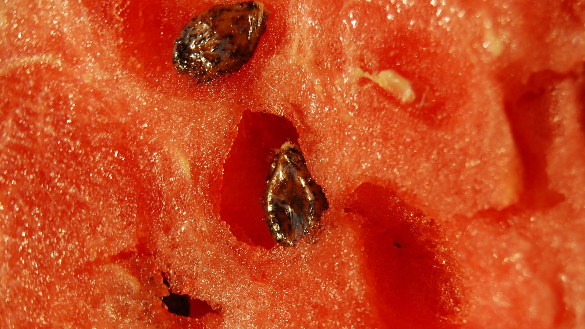 1920x1080 Watermelon, Seeds, Red, Brown HD wallpaper
