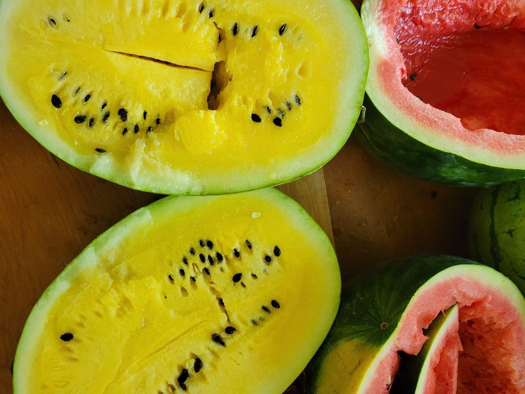 1024x768 Saving Watermelon Seeds