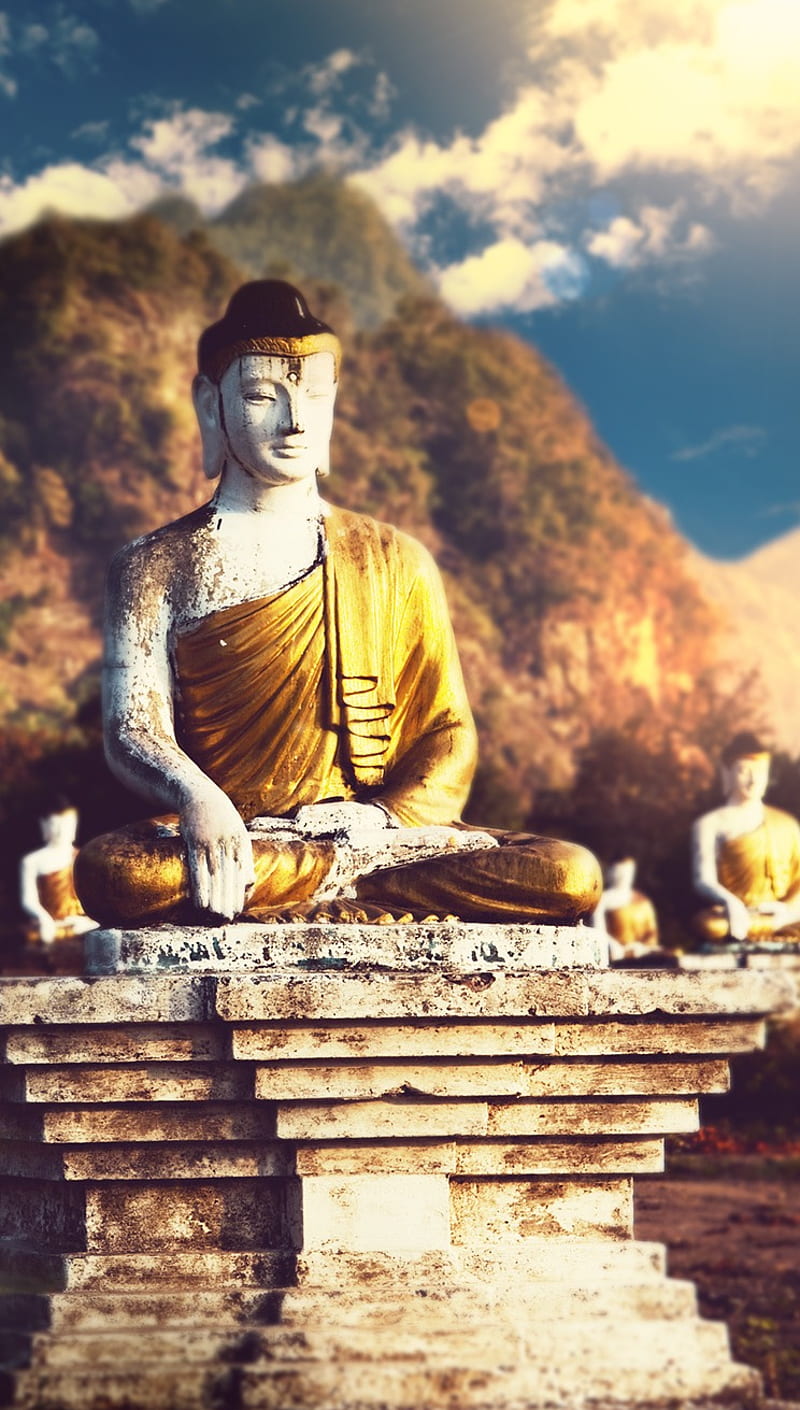 800x1410 HD nepal buddha wallpaper