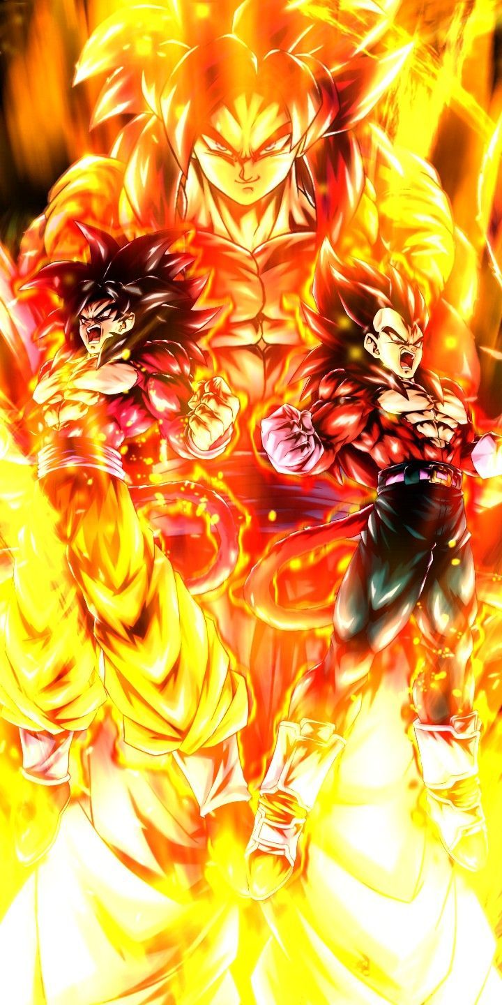 720x1440 Super Saiyan 4 Goku and Vegeta wallpaper