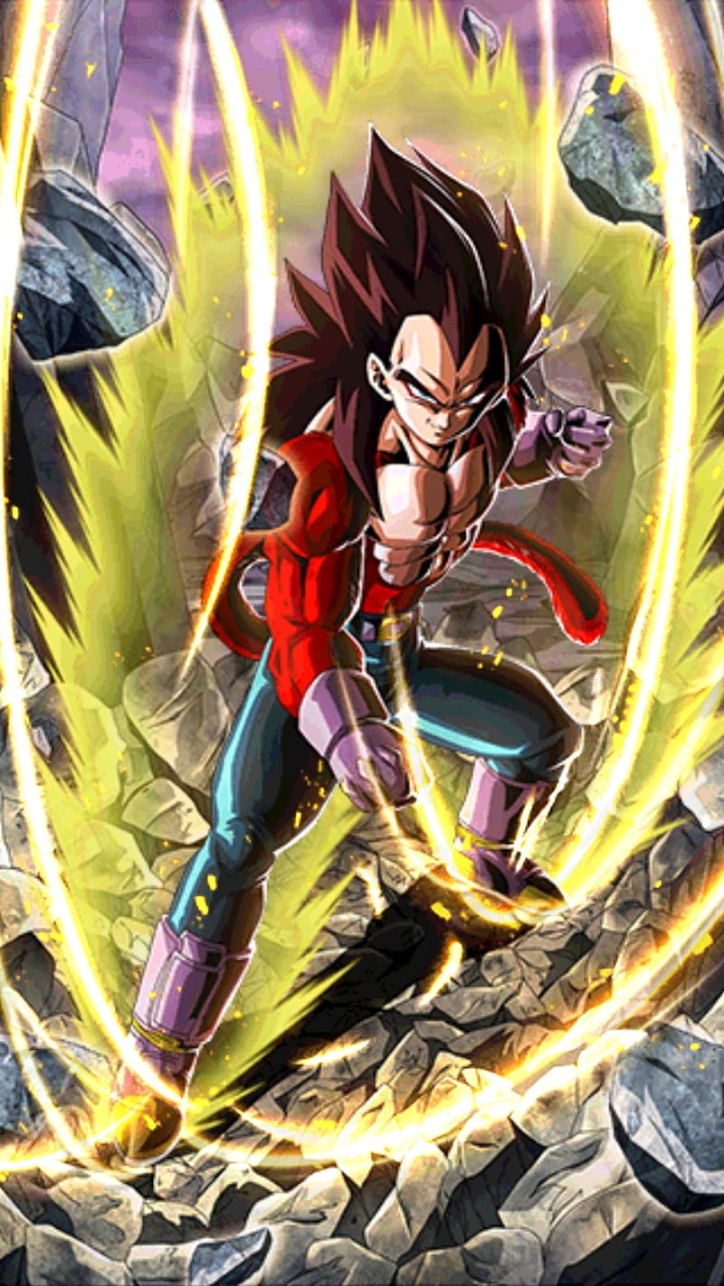 800x1422 SSJ4 Goku, lr, vegeta, HD phone wallpaper