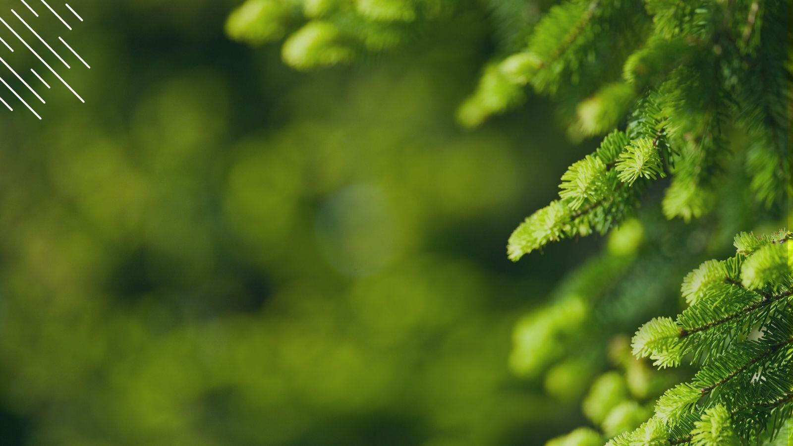 1600x900 Why Evergreen IT Must Be Part Of Your Long Term IT Strategy