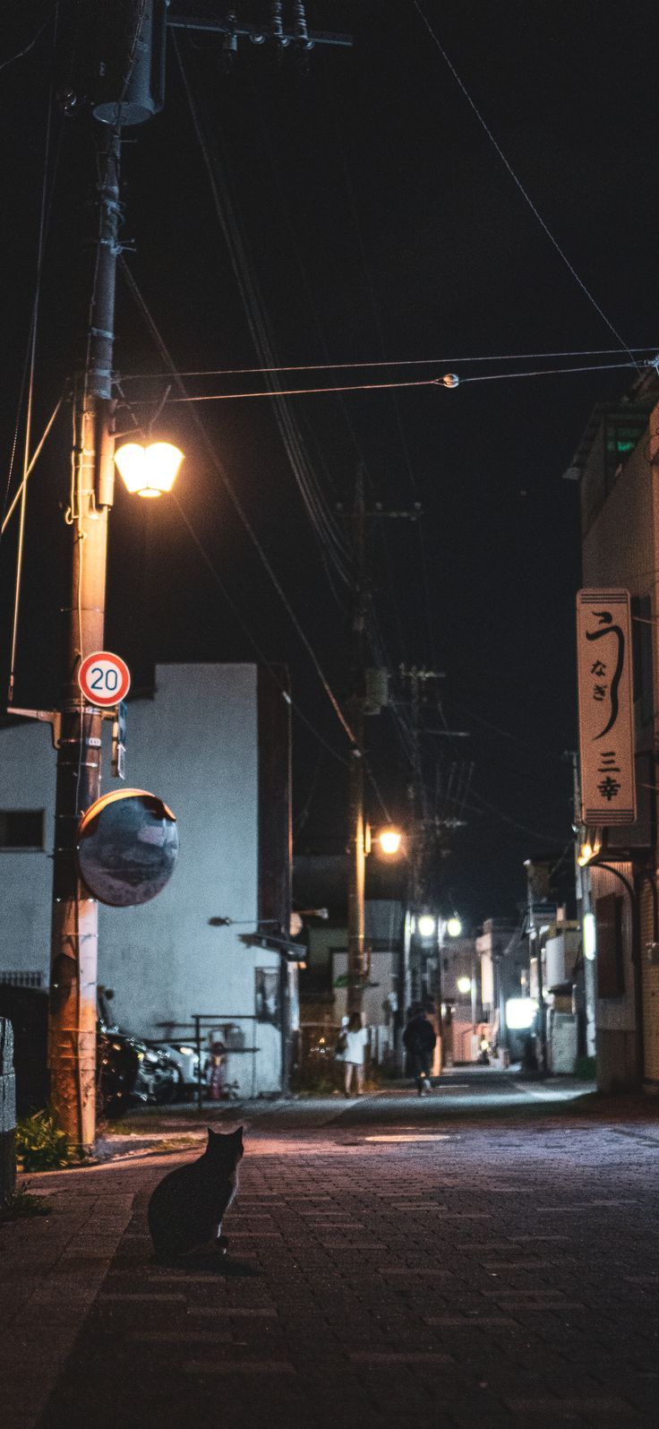736x1595 Japanese Night Wallpaper
