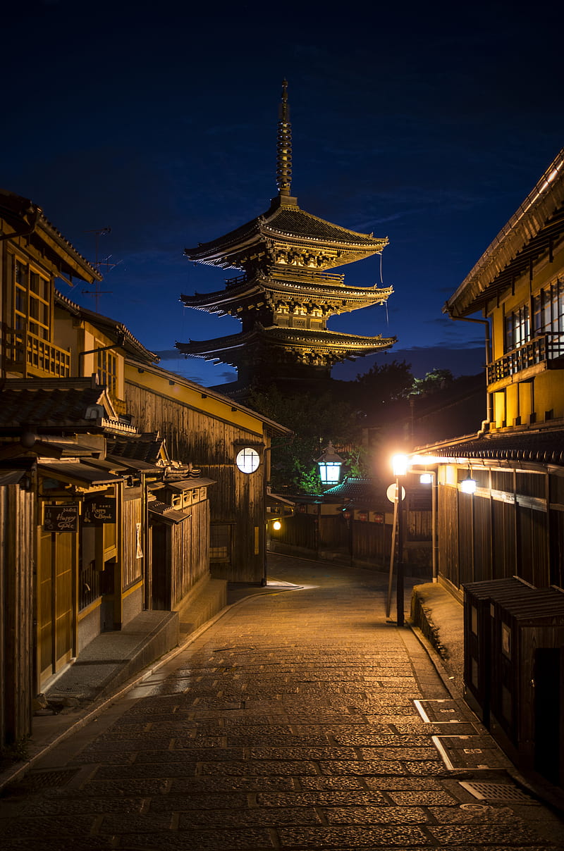800x1208 Japan, alleyway, night, street light, portrait display, HD phone wallpaper