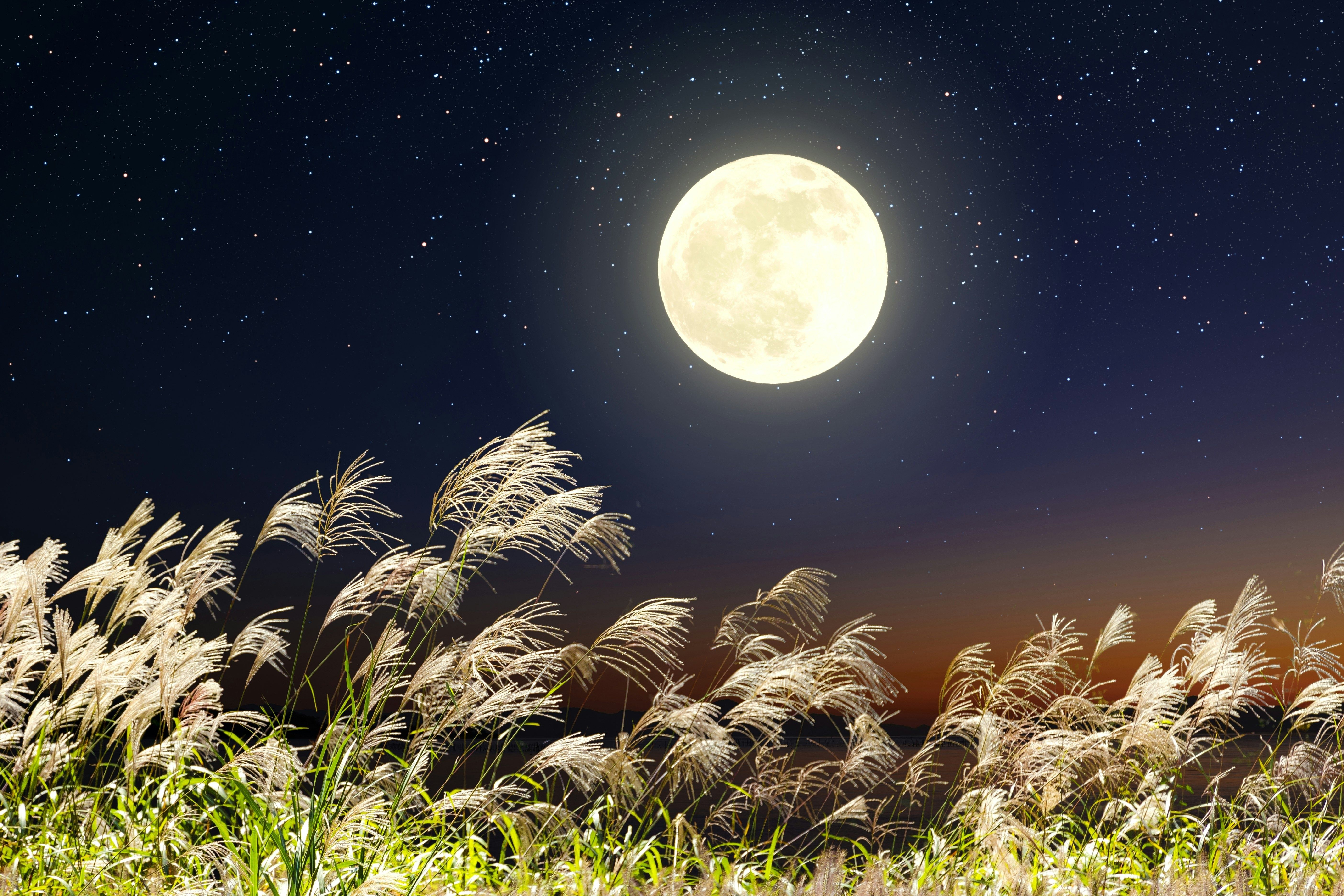 5616x3744 Wallpaper light, Japan, moon, sky, landscape, nature, night, background for mobile and desktop, section пейзажи, resolution 5616x3744