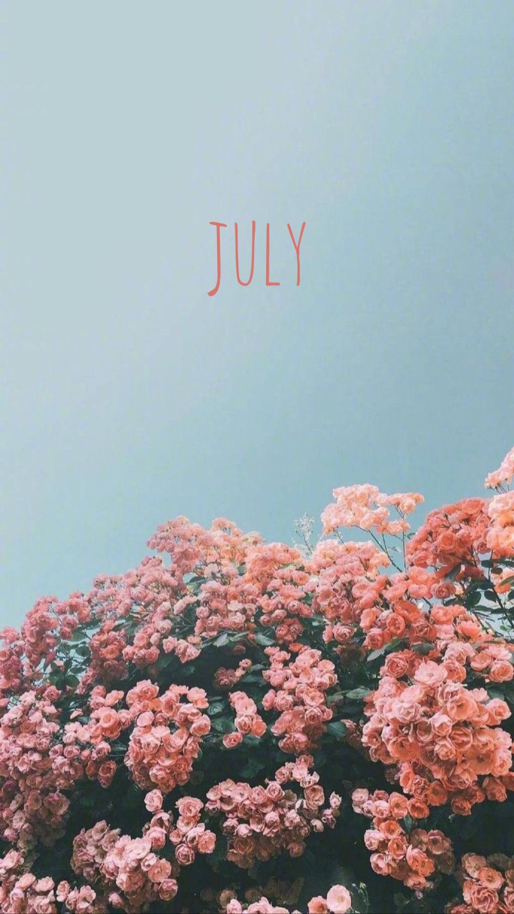 1024x1820 July Aesthetic Wallpaper