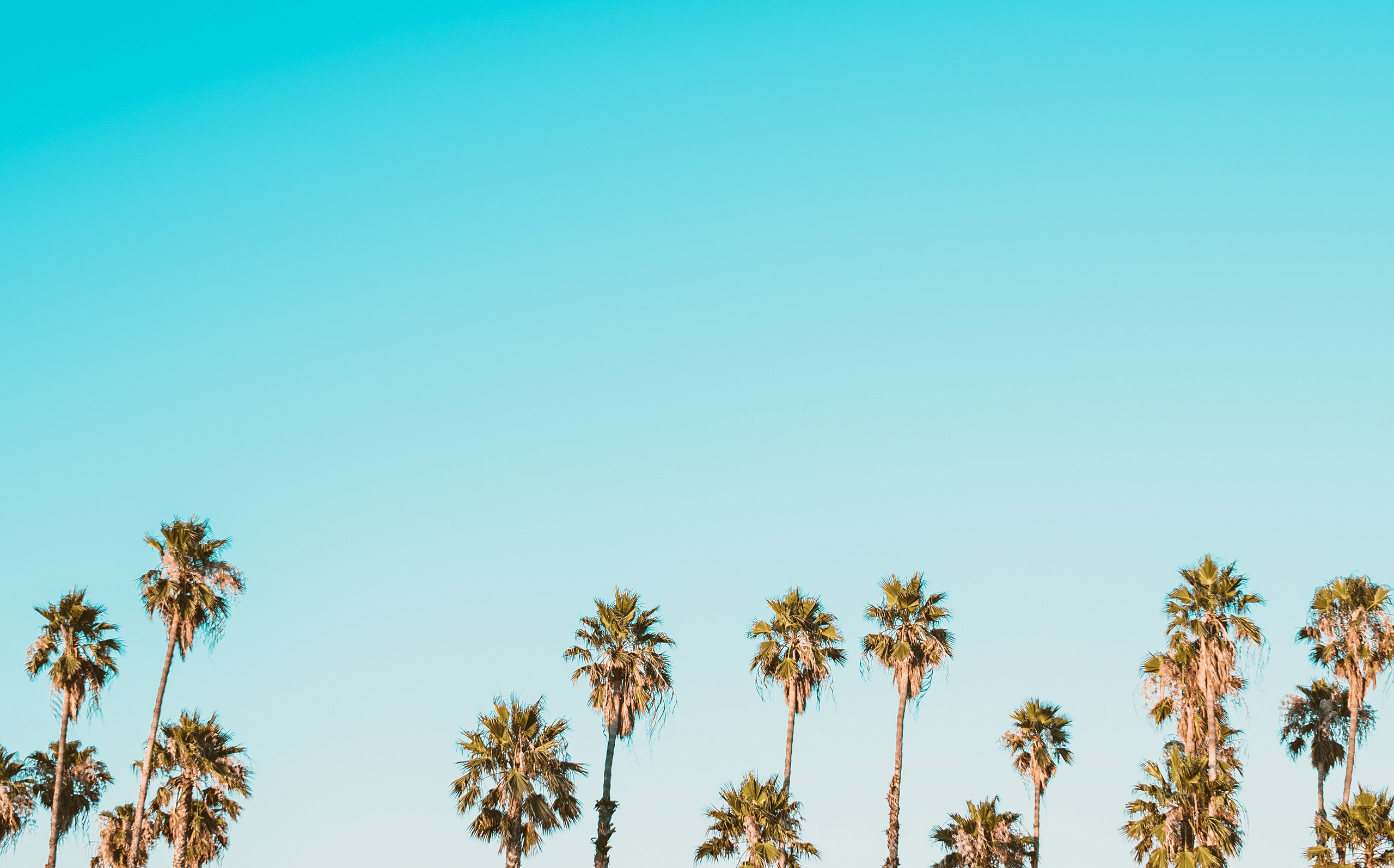 2560x1595 