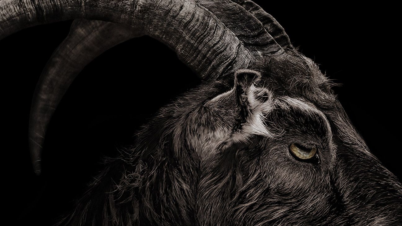 1296x730 Black Phillip: The Real Story Behind the Breakout Goat From 'The Witch'