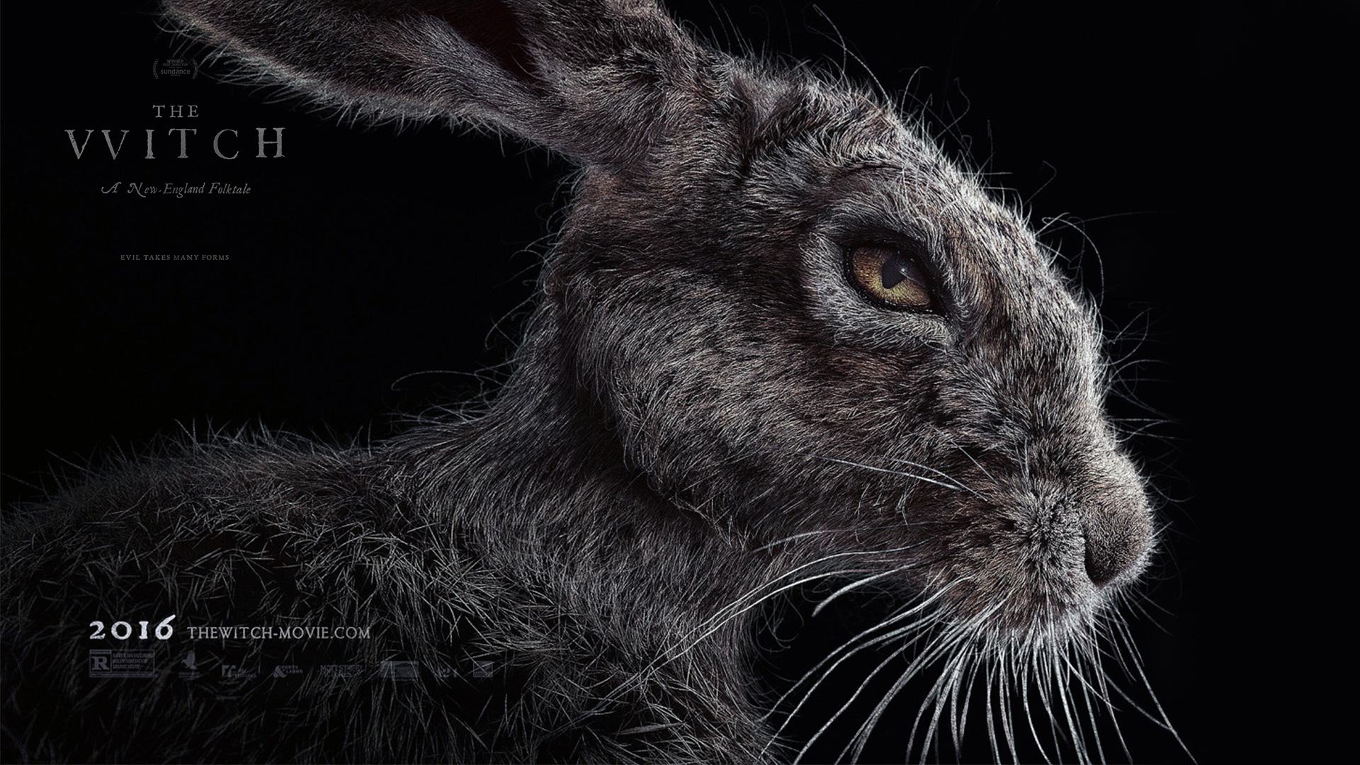 1920x1080 Hare's To You! Rabbit Lore. Center for Inquiry