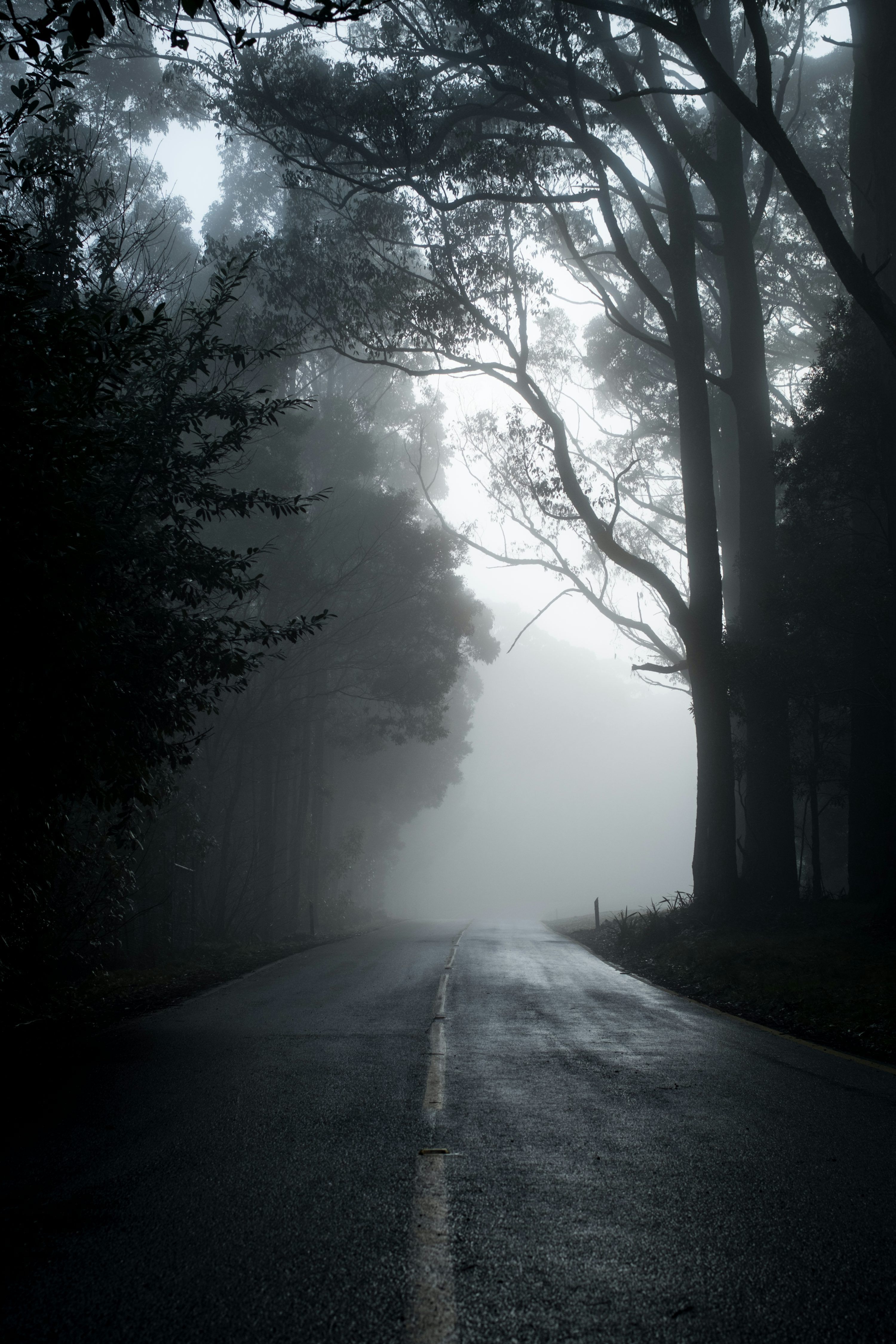 3000x4500 Dark Winter Picture. Download Free Image