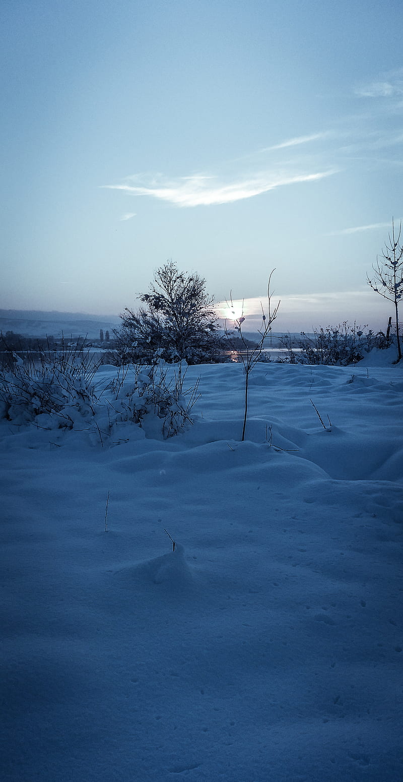 800x1551 Winter, flake, fruska gora, novi sad, scenes, serbia, snow, sun, HD phone wallpaper