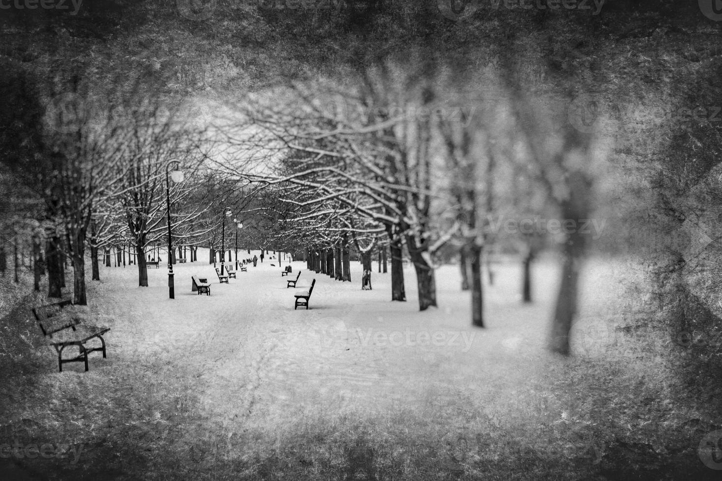 1470x980 Sad Winter White Black Landscape With Trees In The Snow In January