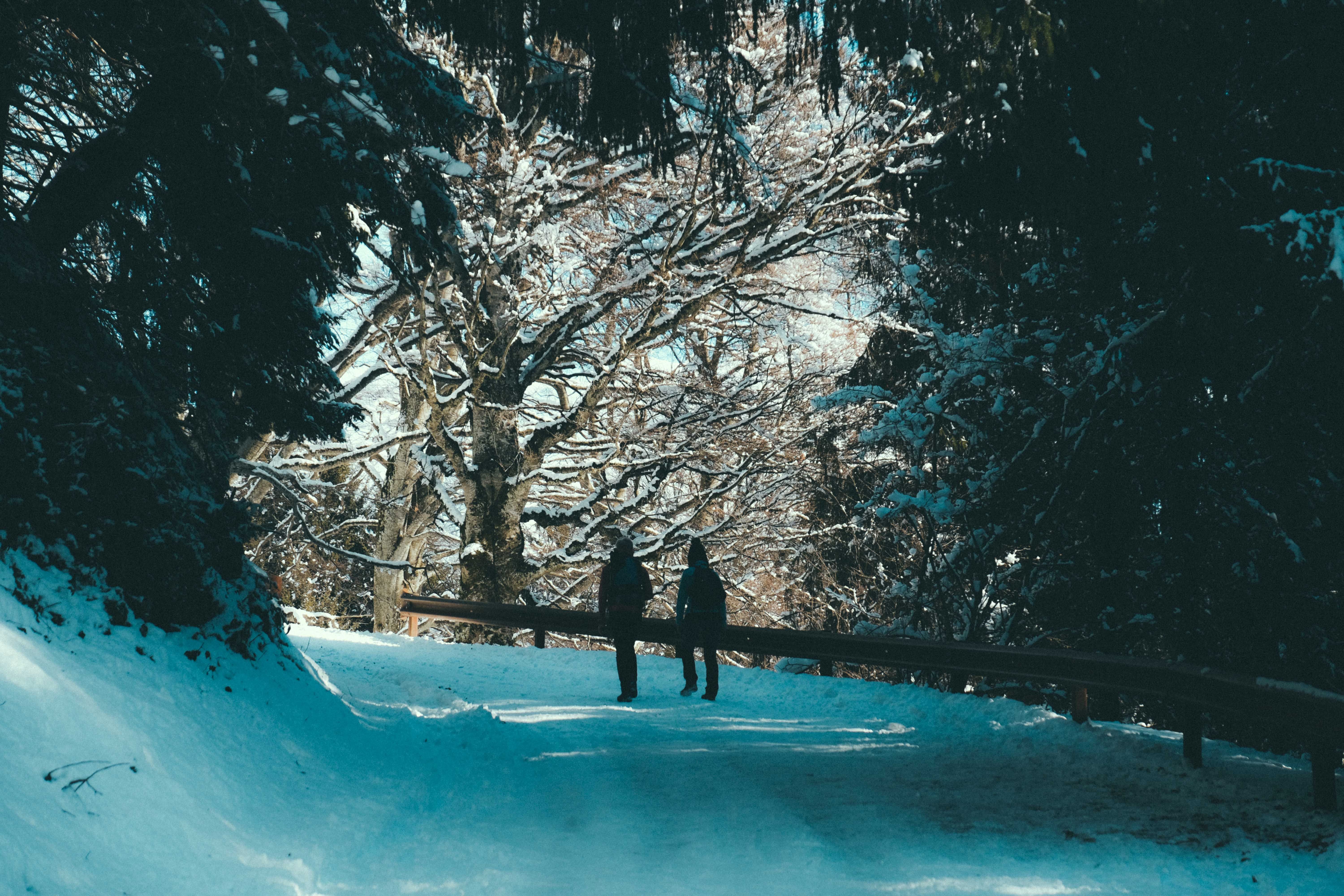6000x4000 Two People in Black Coat Walking on Snow Covered Pathway · Free