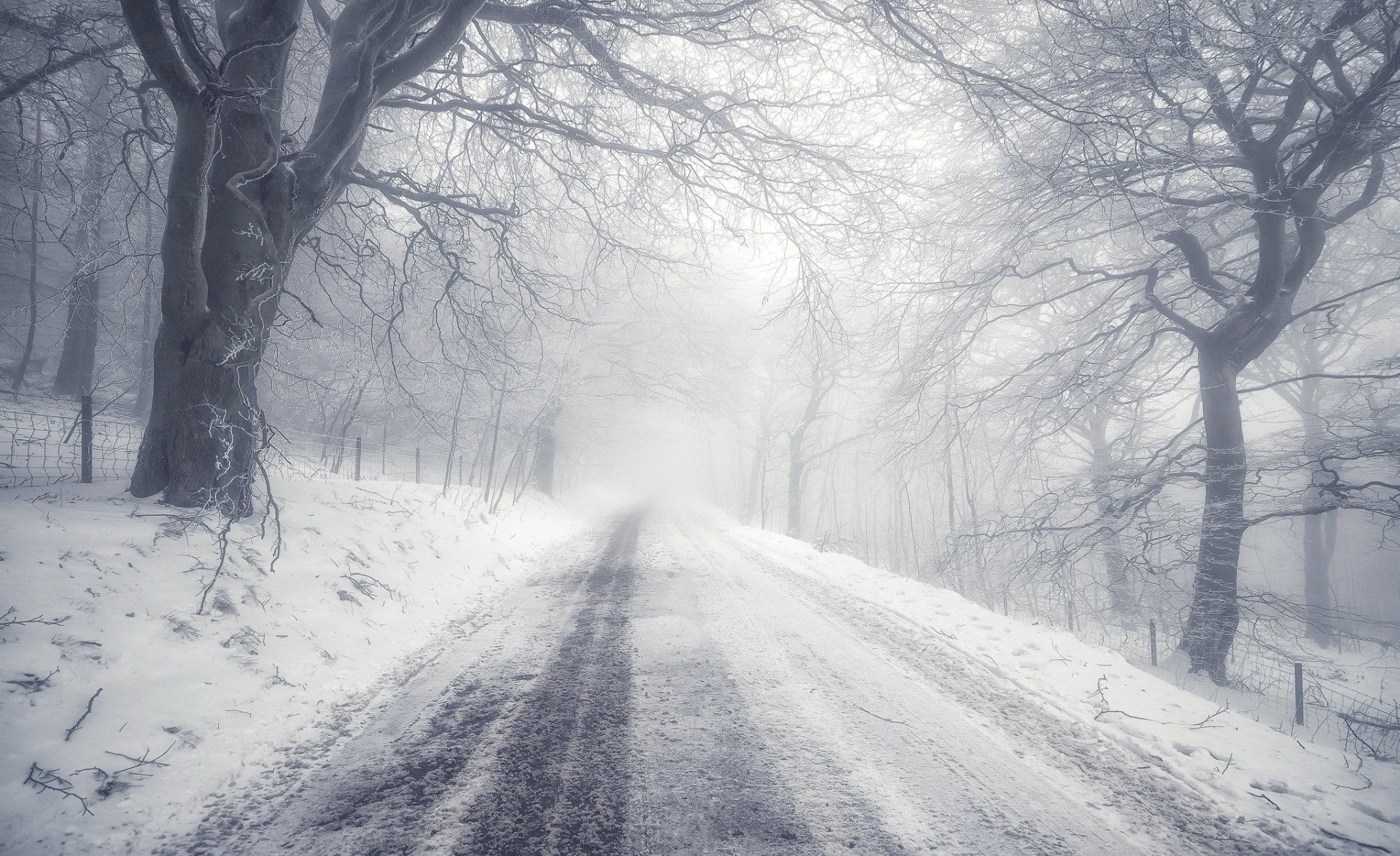 1920x1174 Winter Road Through Foggy Snow Covered Trees. HD Nature Wallpaperx1252