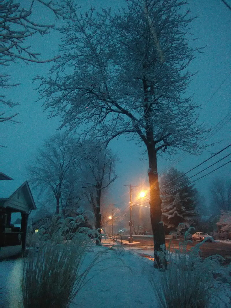 800x1067 Another snow day, road, snow, HD phone wallpaper