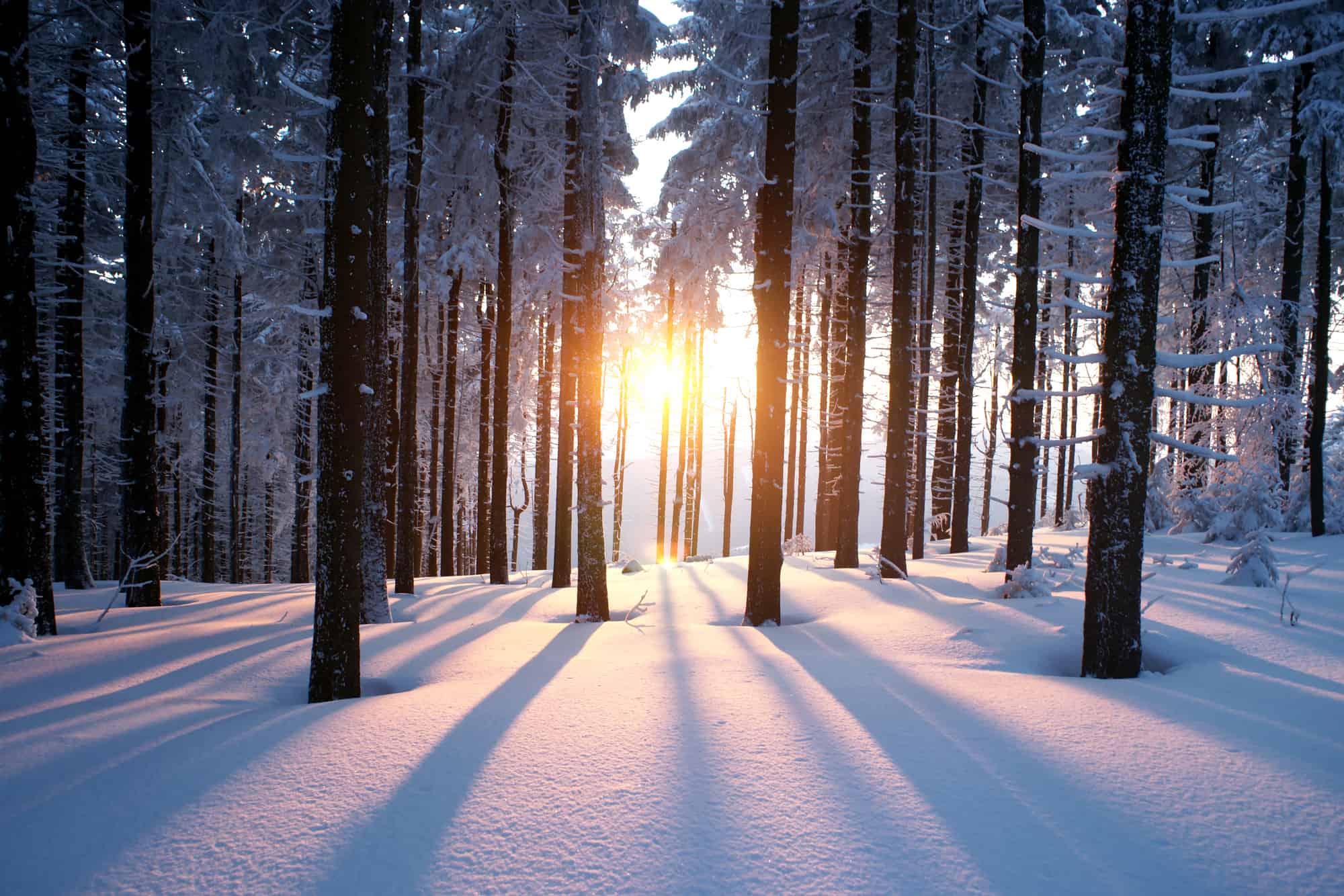 2000x1334 Combat Seasonal Affective Disorder (SAD) with Winter Activities in Greater Milwaukee