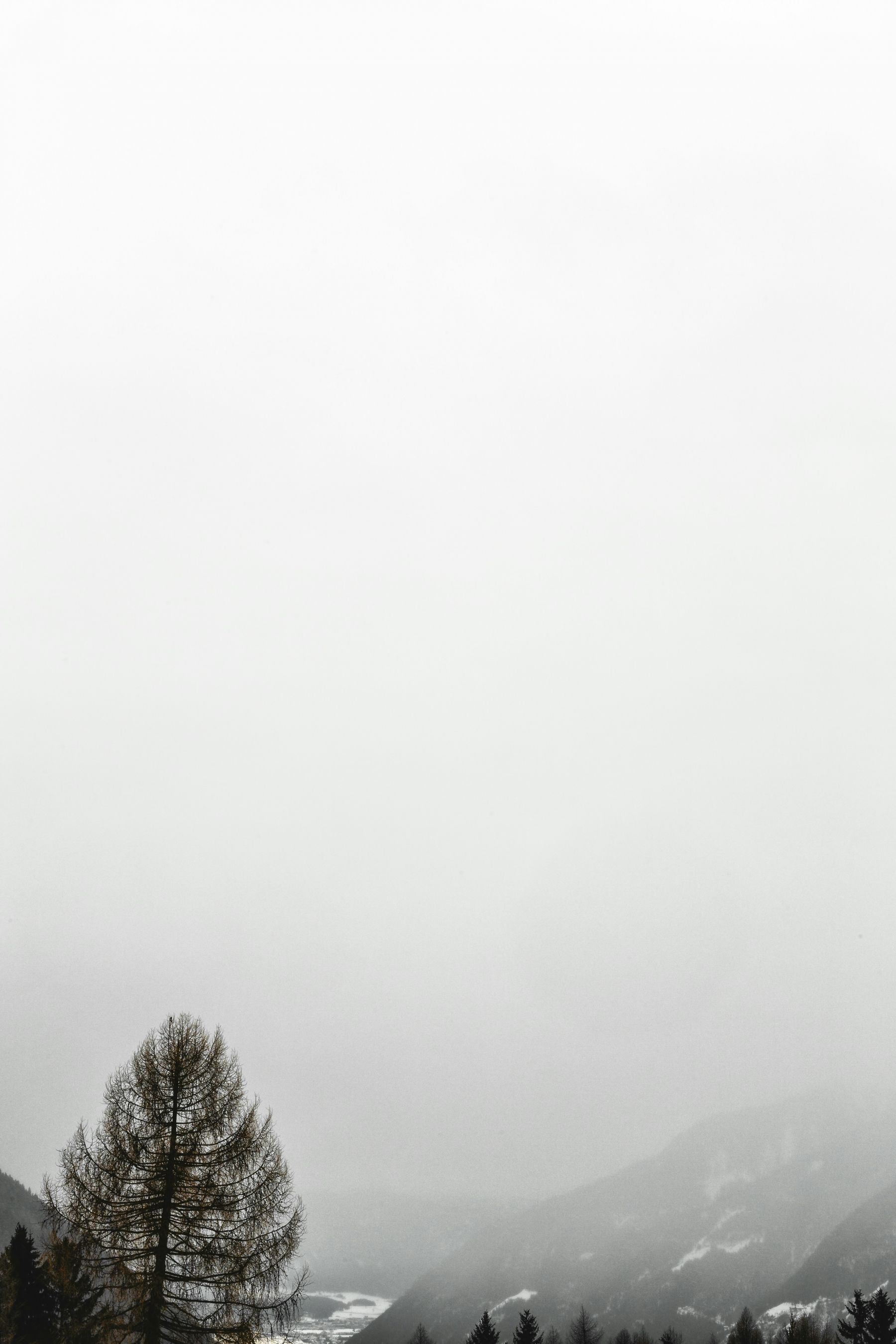 1800x2700 Black And White Sad Lonely Landscape