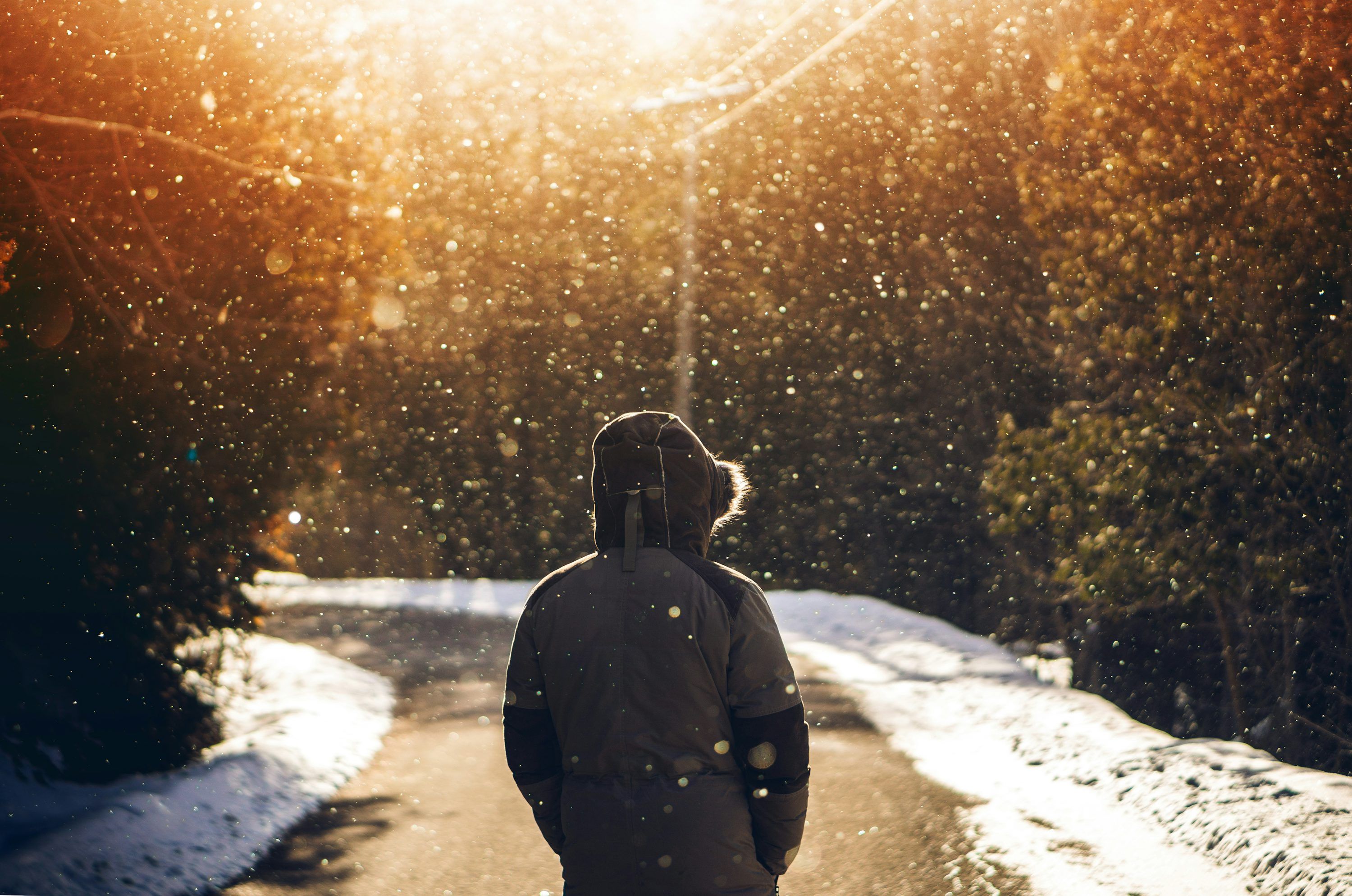 3000x1989 Person wearing hoodie standing in middle of road with falling snow photo