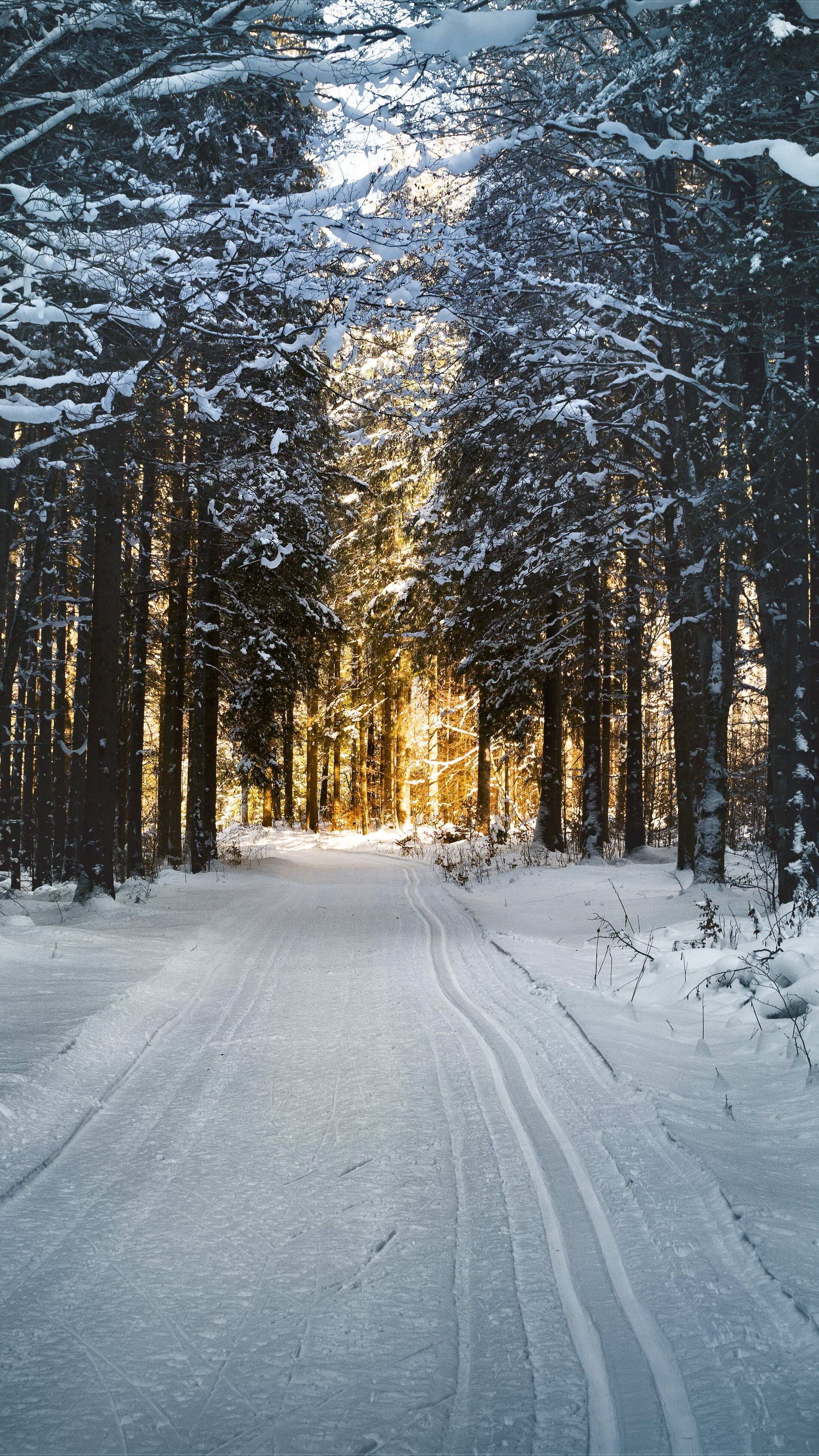 2188x3888 Winter Blues': Do You Have Seasonal Affective Disorder (SAD)