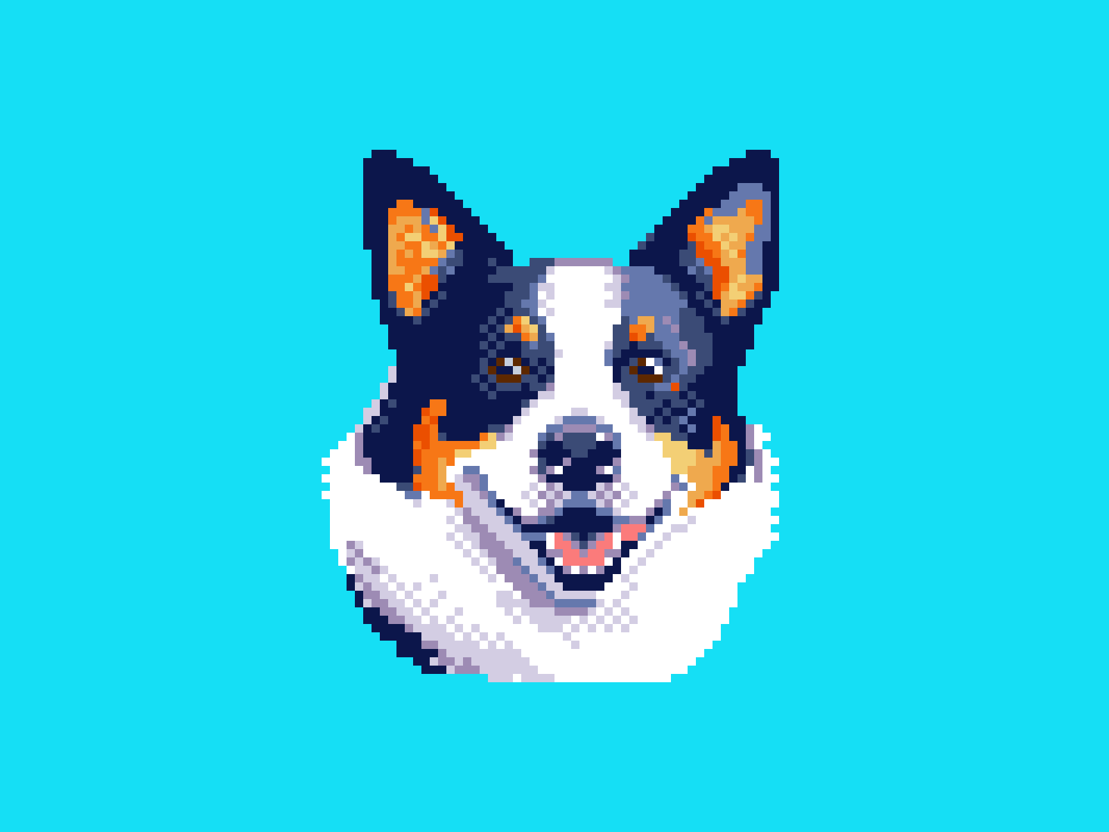 1600x1200 Wallace the Corgi by Jeremy Brown on Dribbble