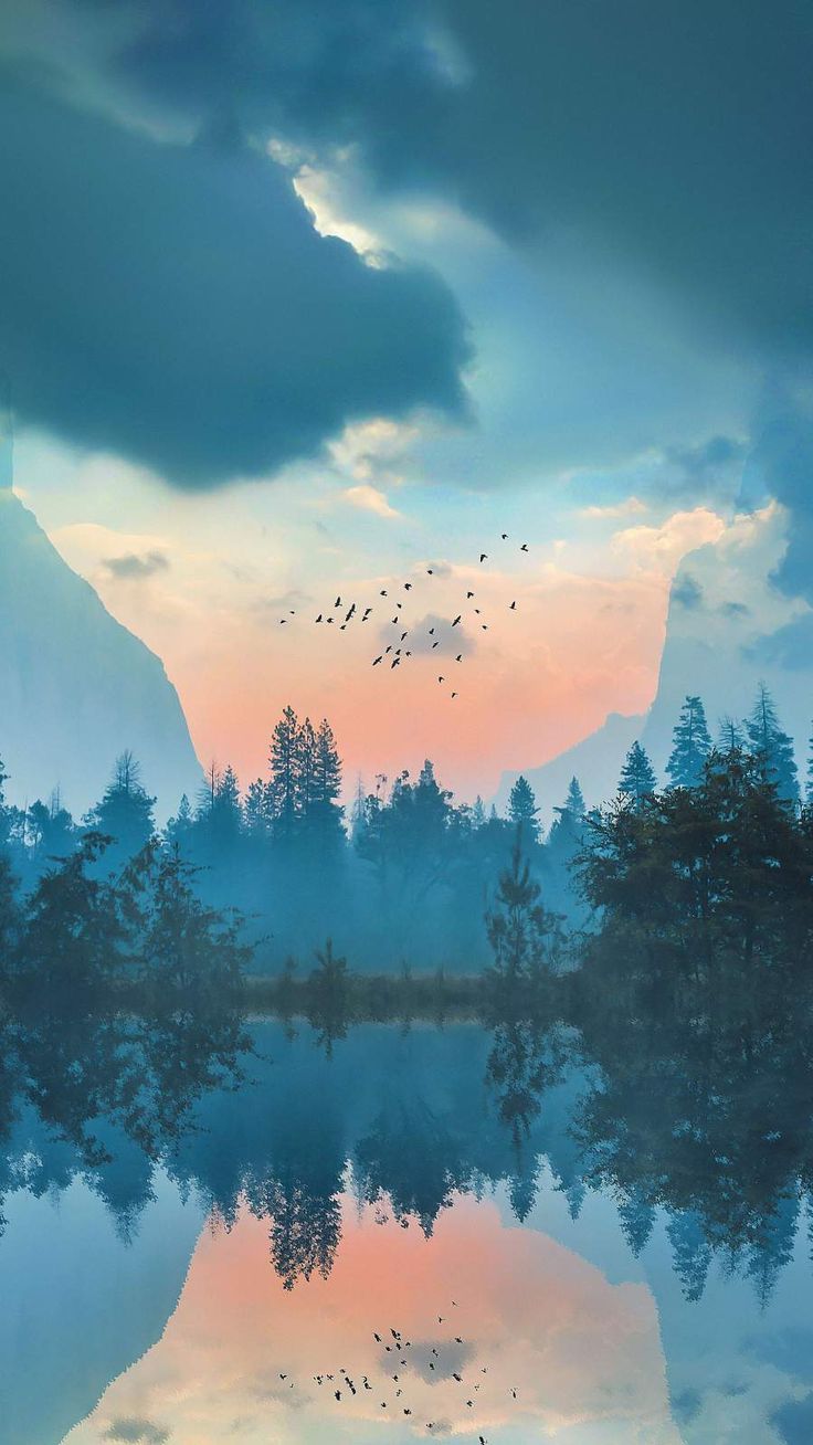 736x1308 iPhone Wallpaper